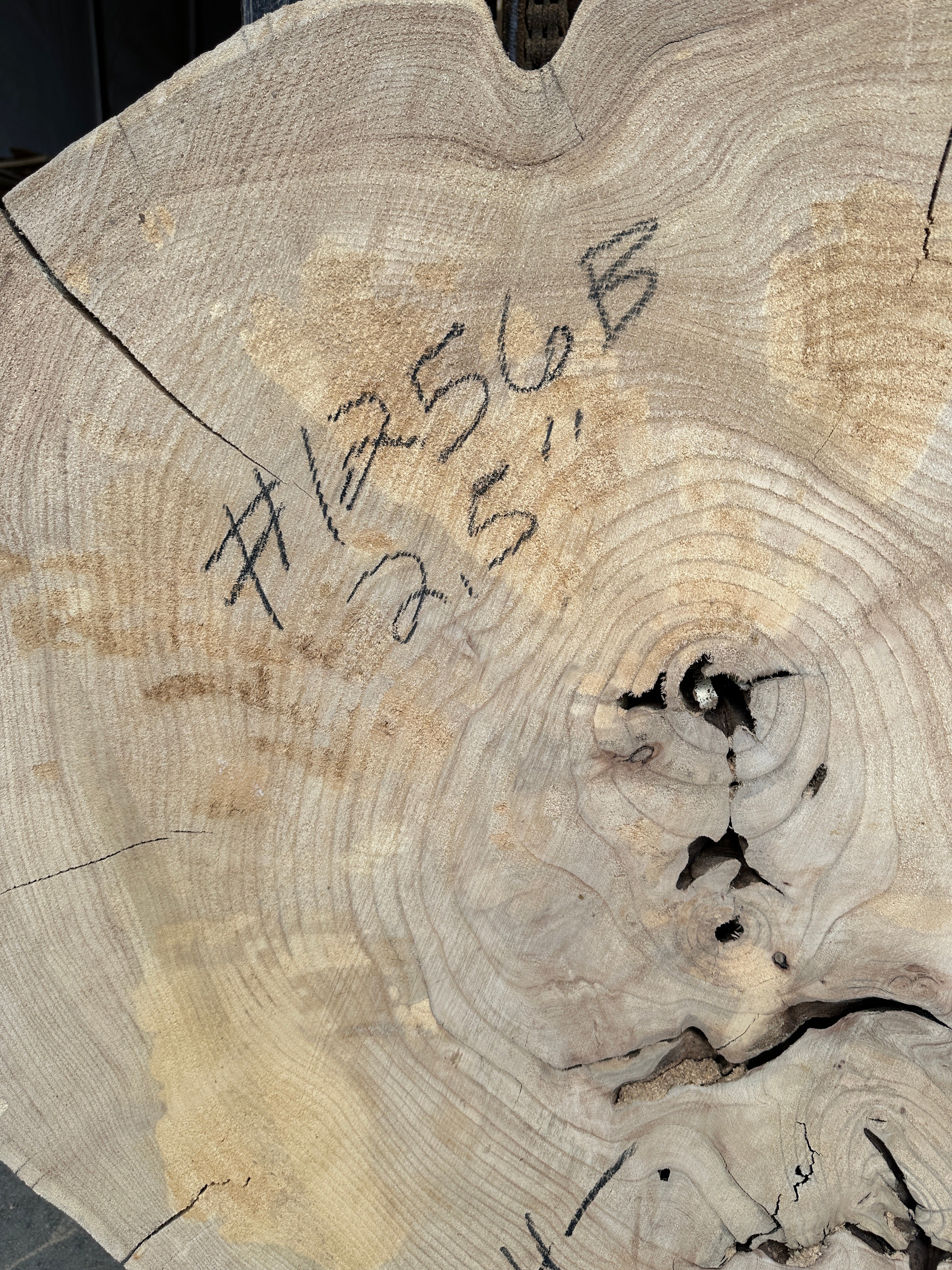 Elm Live-edge cookie slab