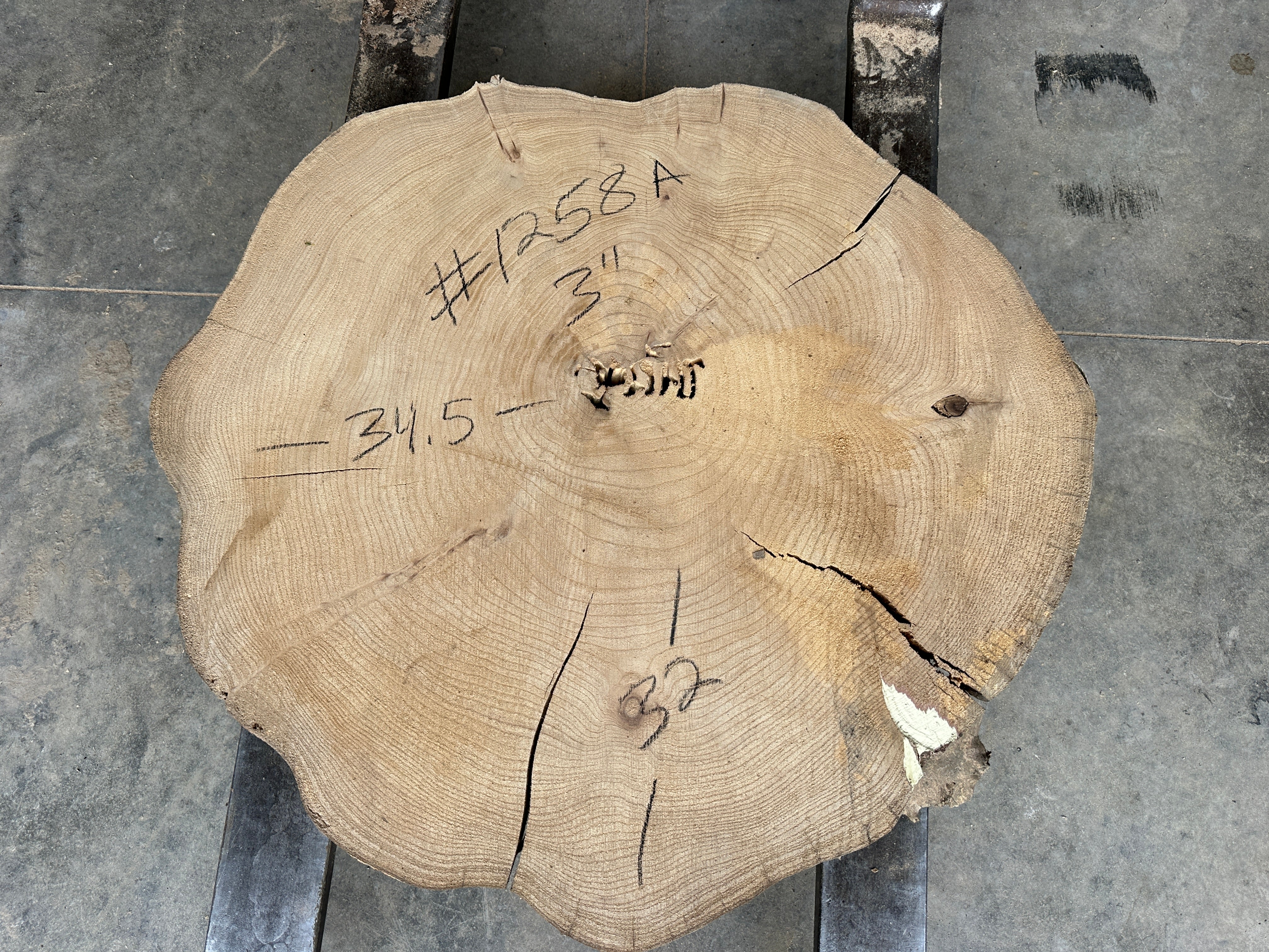 Elm Live-edge slab