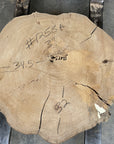 Elm Live-edge slab