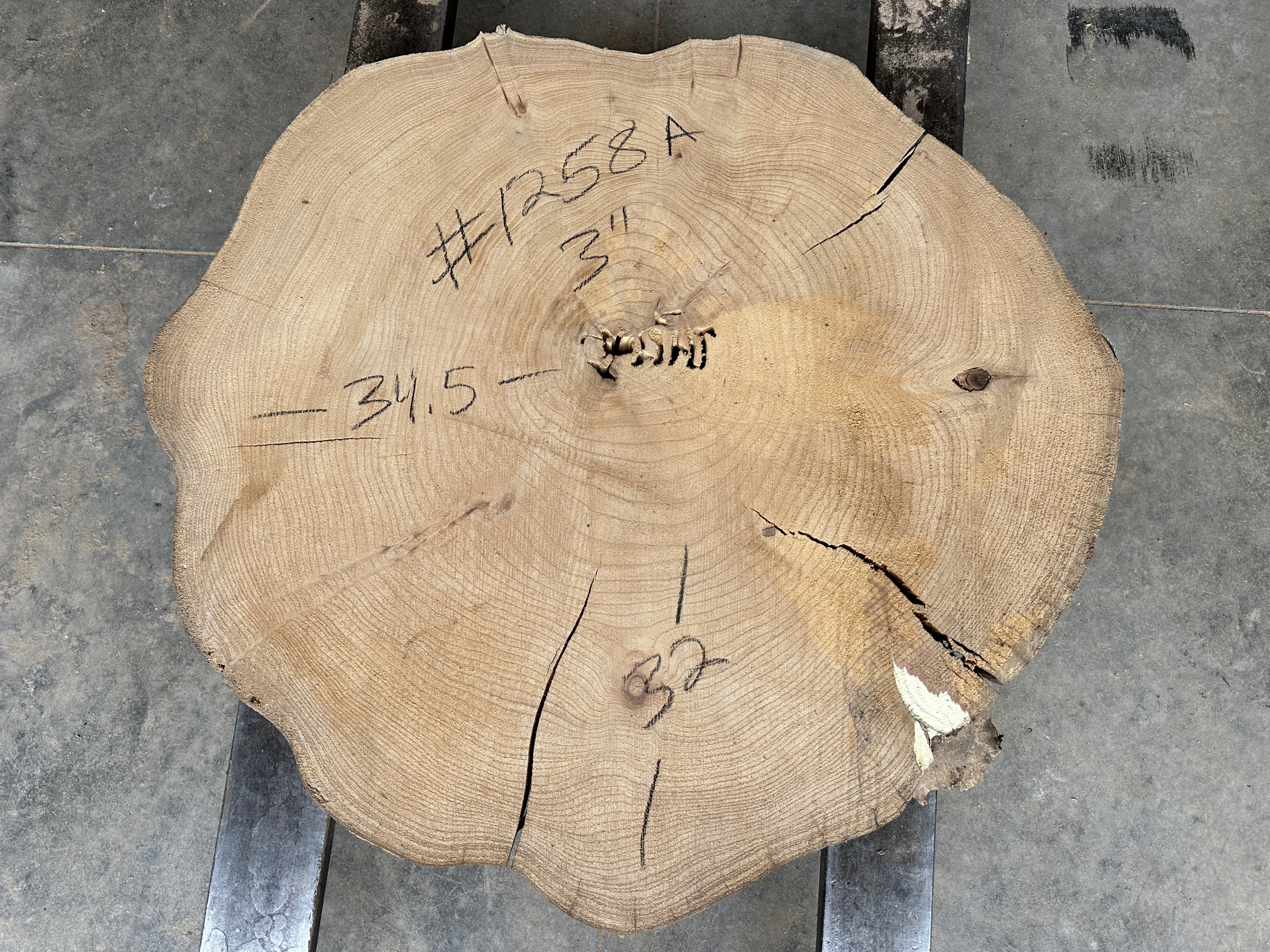 Elm Live-edge slab