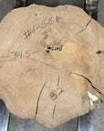 Elm Live-edge slab