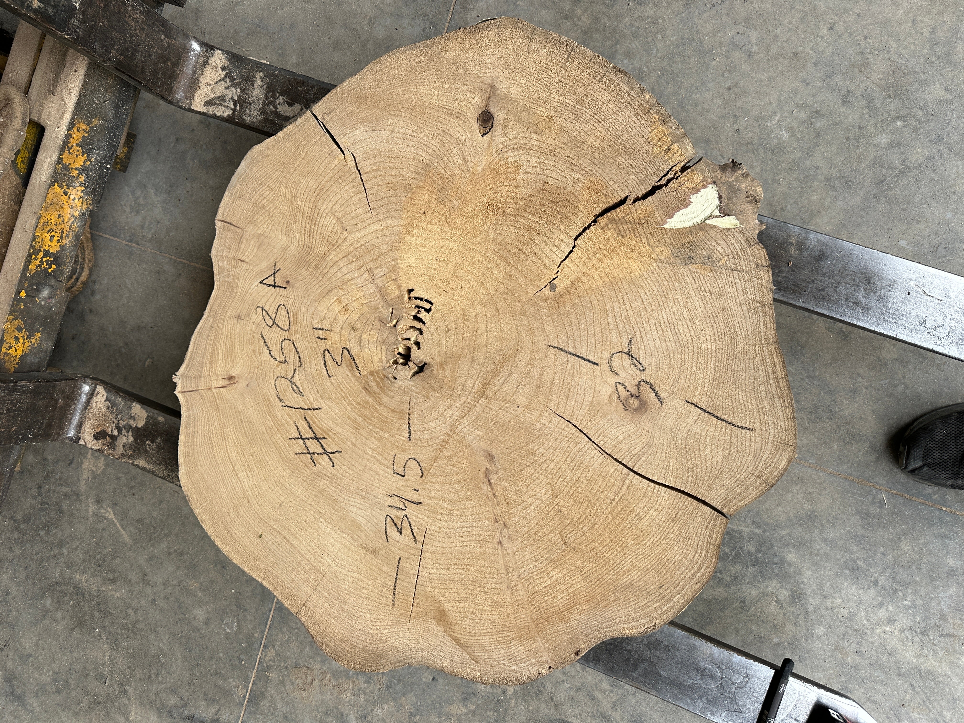 Elm Live-edge slab