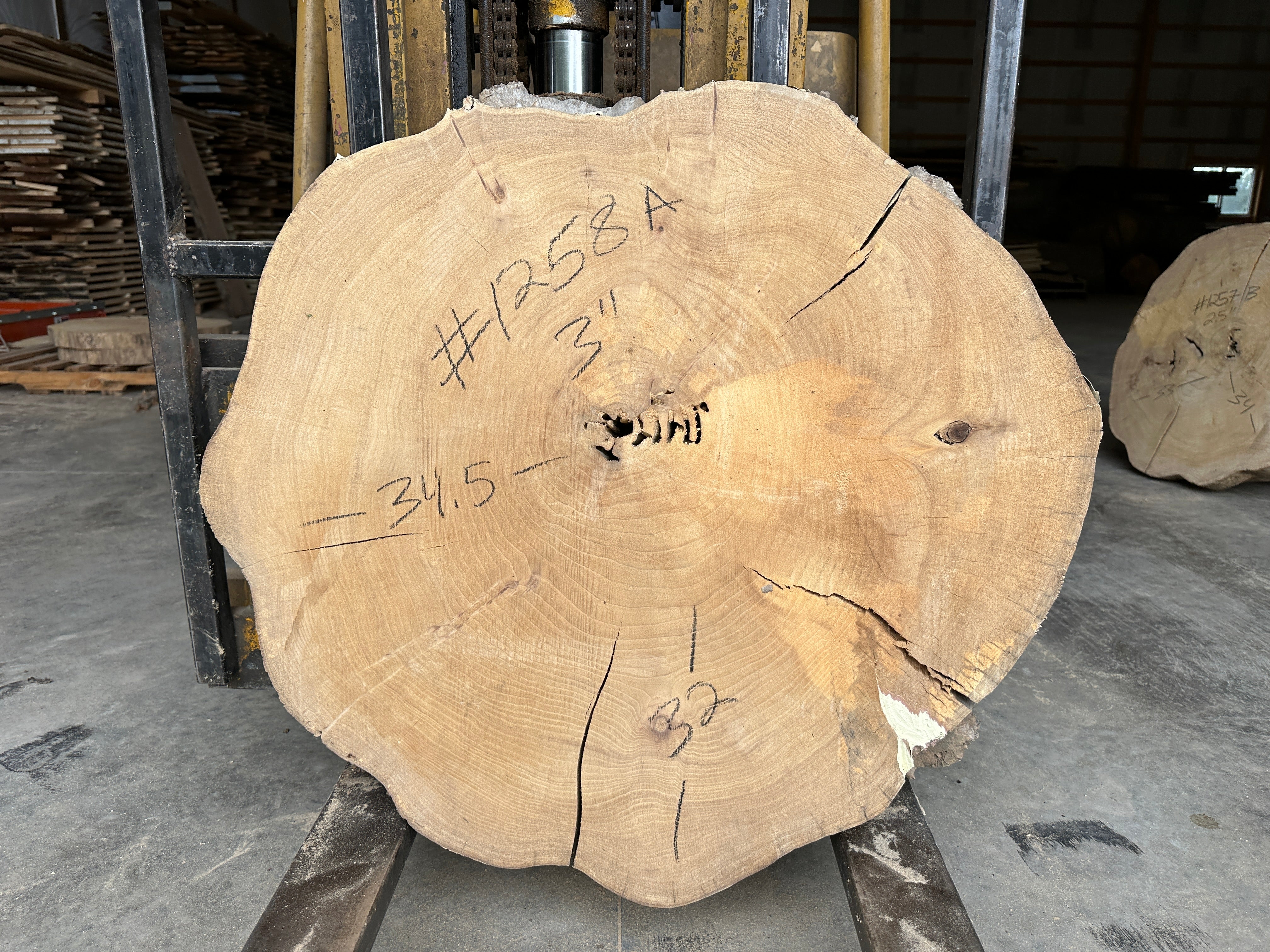 Elm Live-edge slab