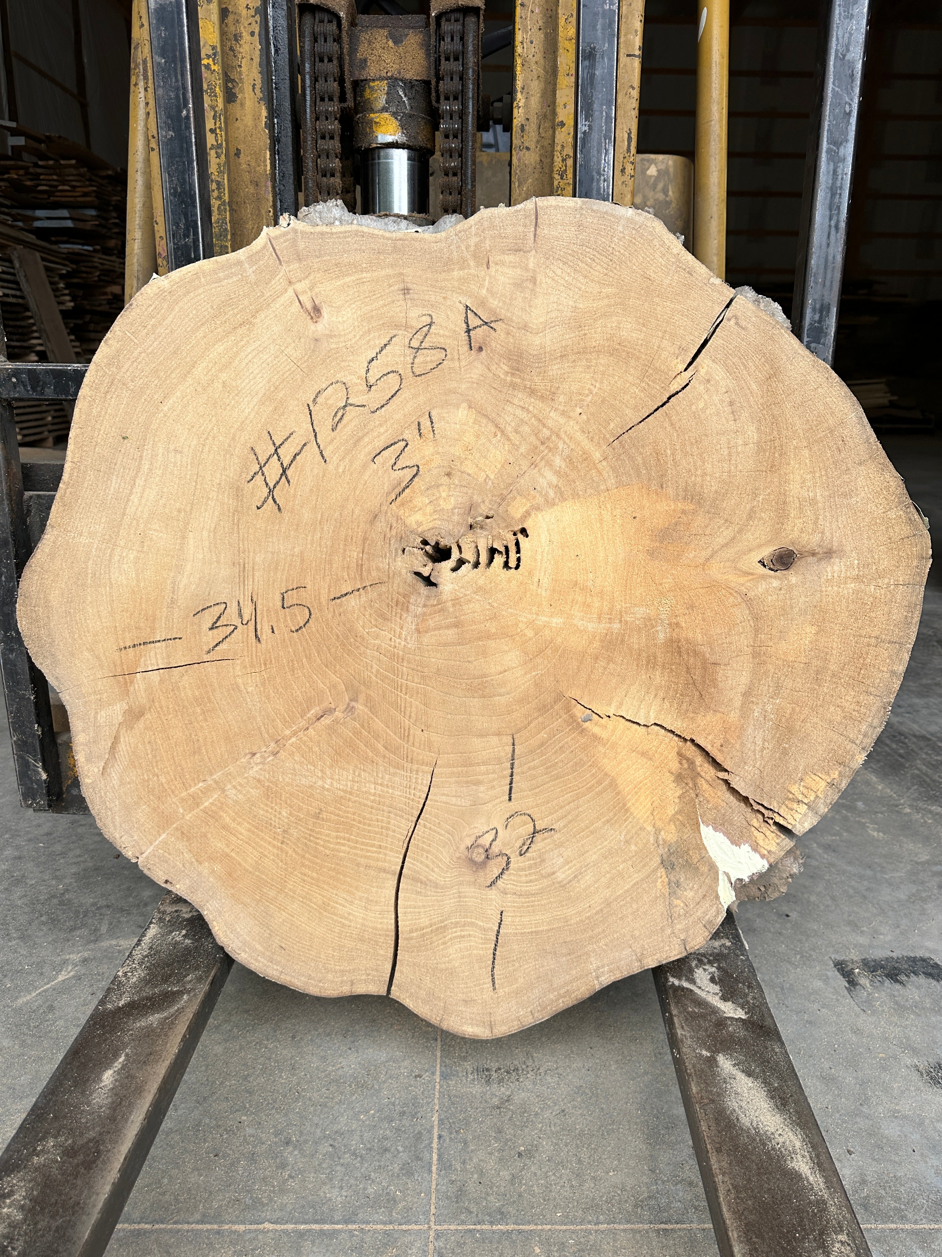 Elm Live-edge slab