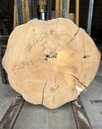 Elm Live-edge slab