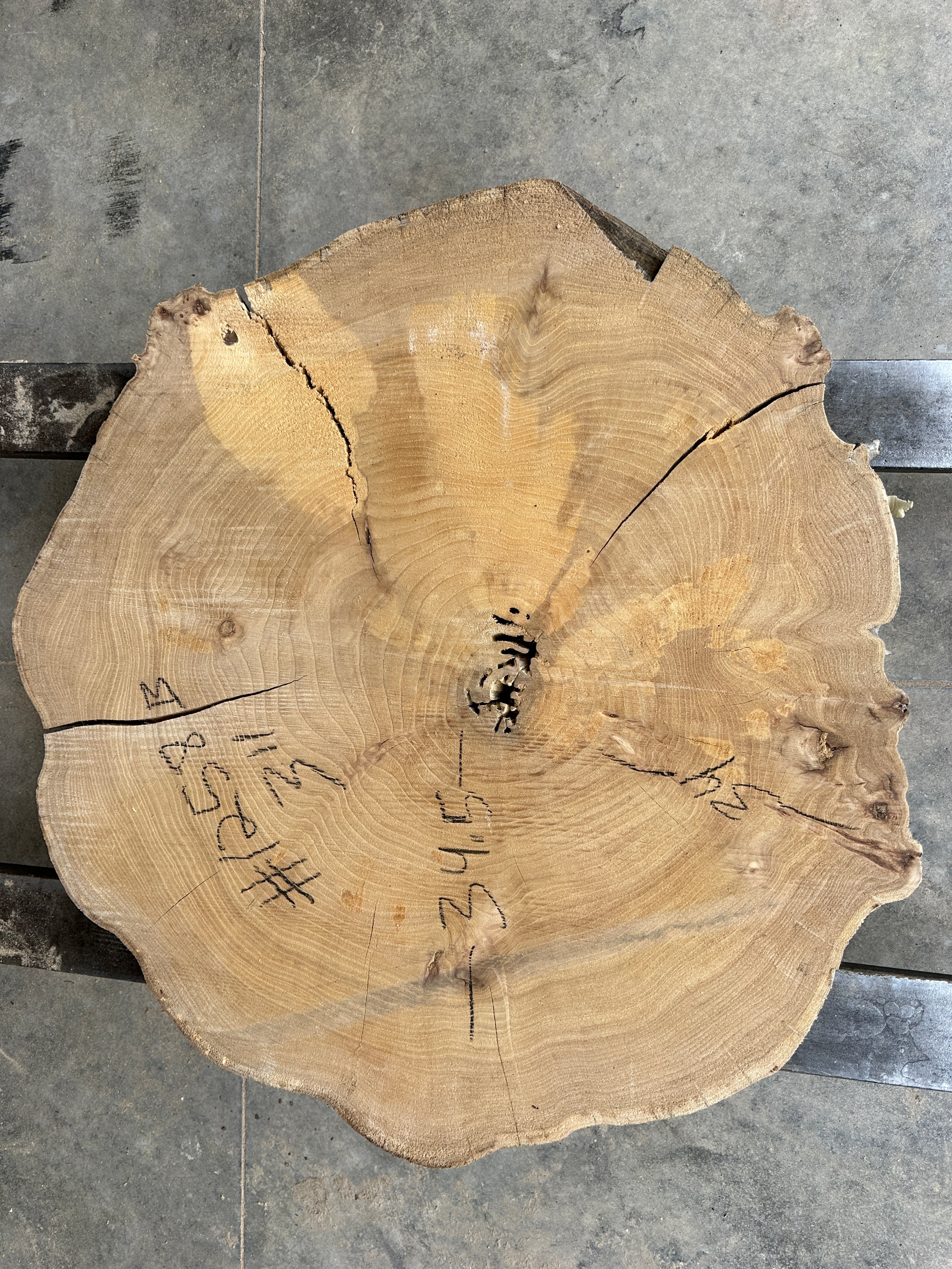 Elm Live-edge slab