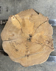 Elm Live-edge slab