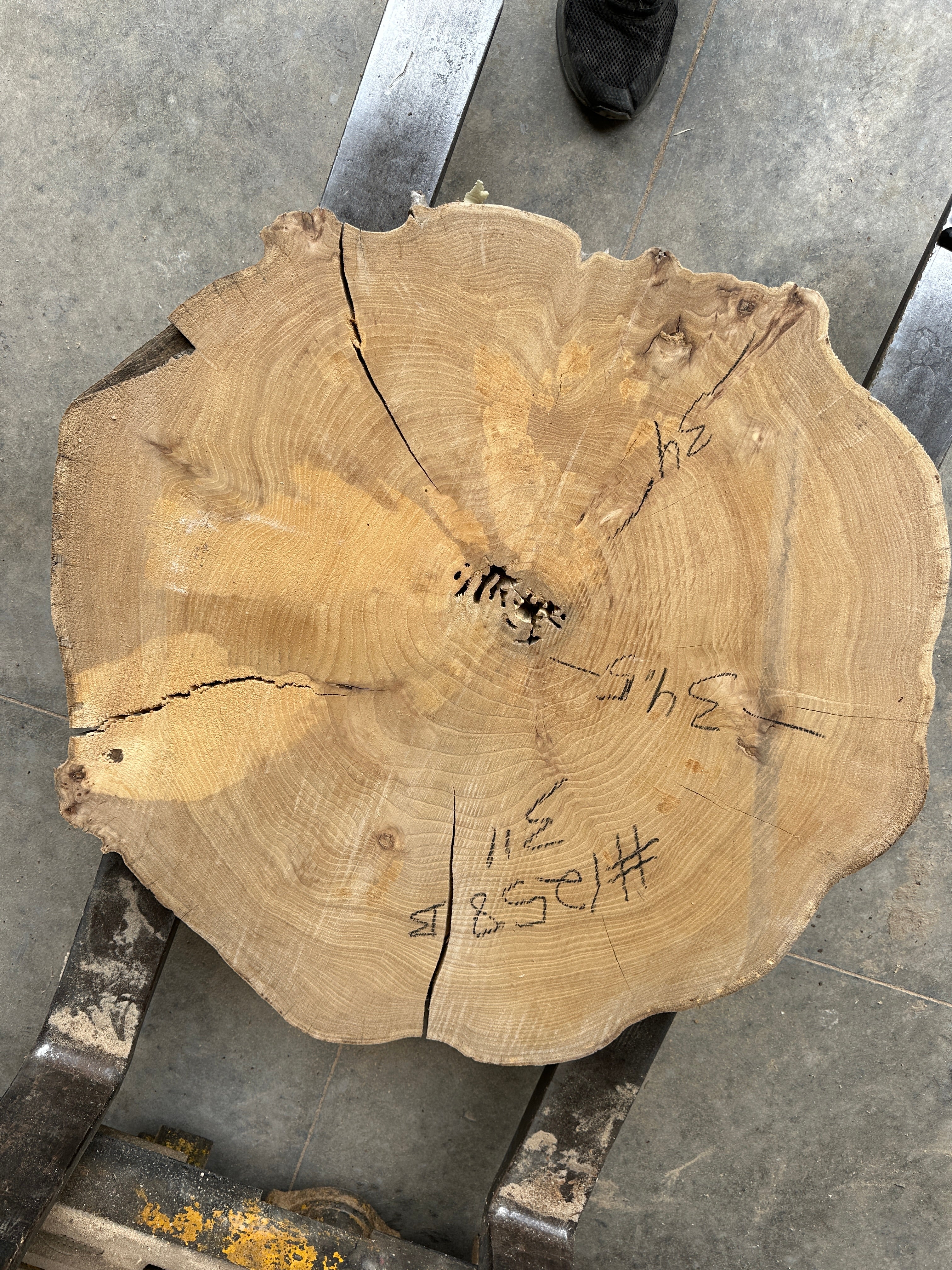Elm Live-edge slab