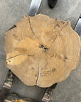 Elm Live-edge slab