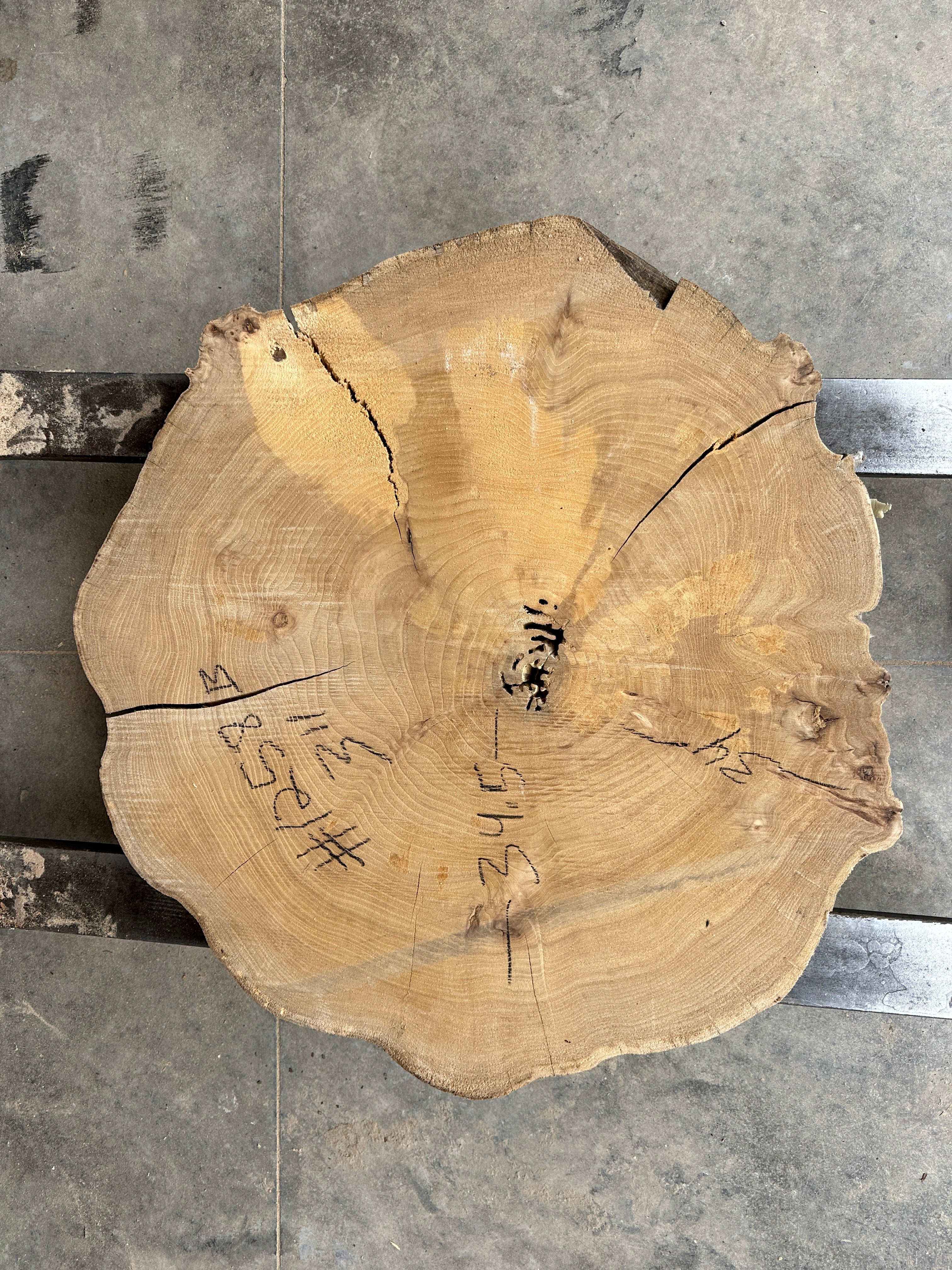 Elm Live-edge slab