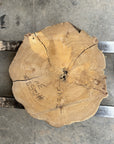 Elm Live-edge slab