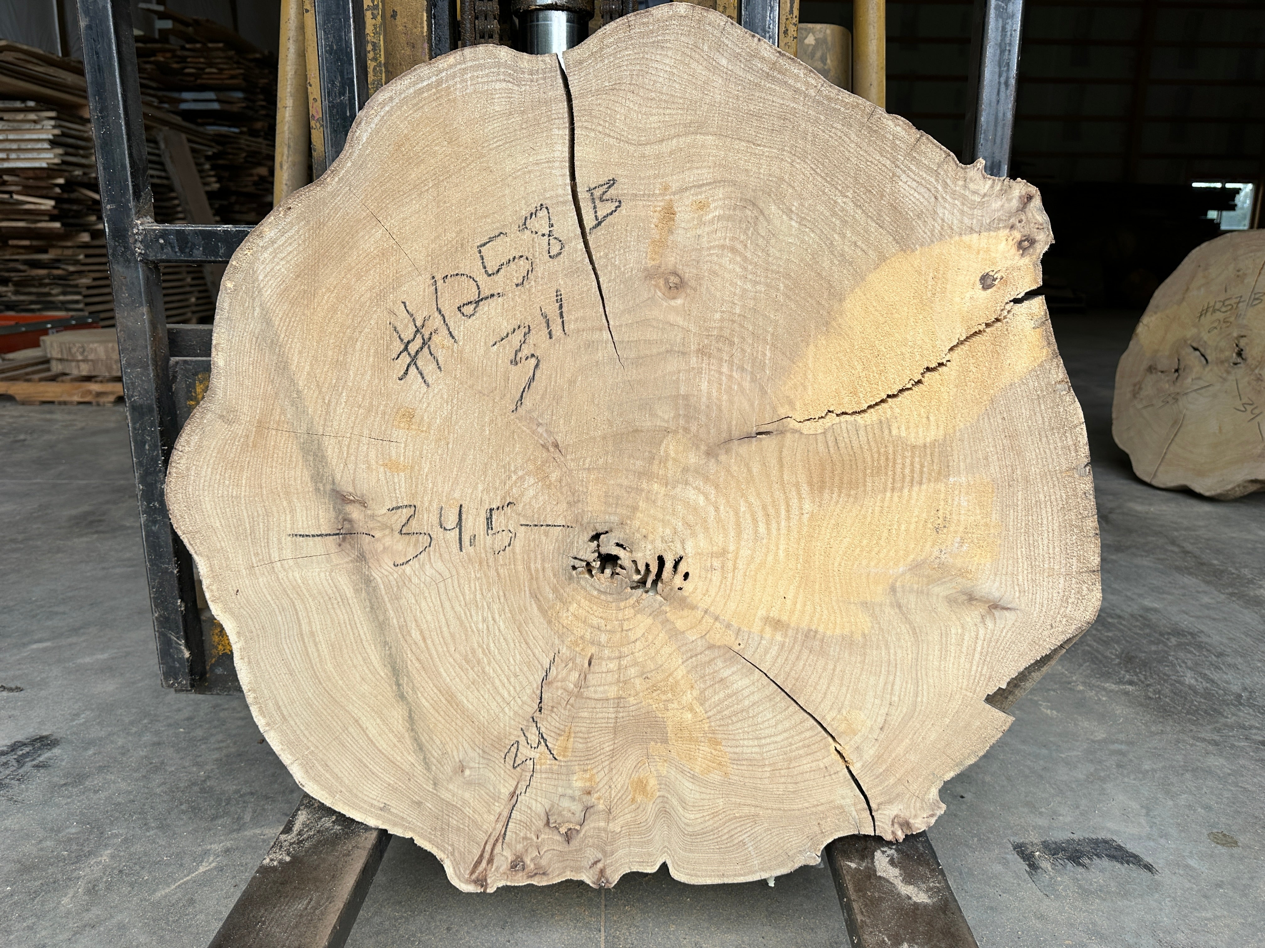 Elm Live-edge slab