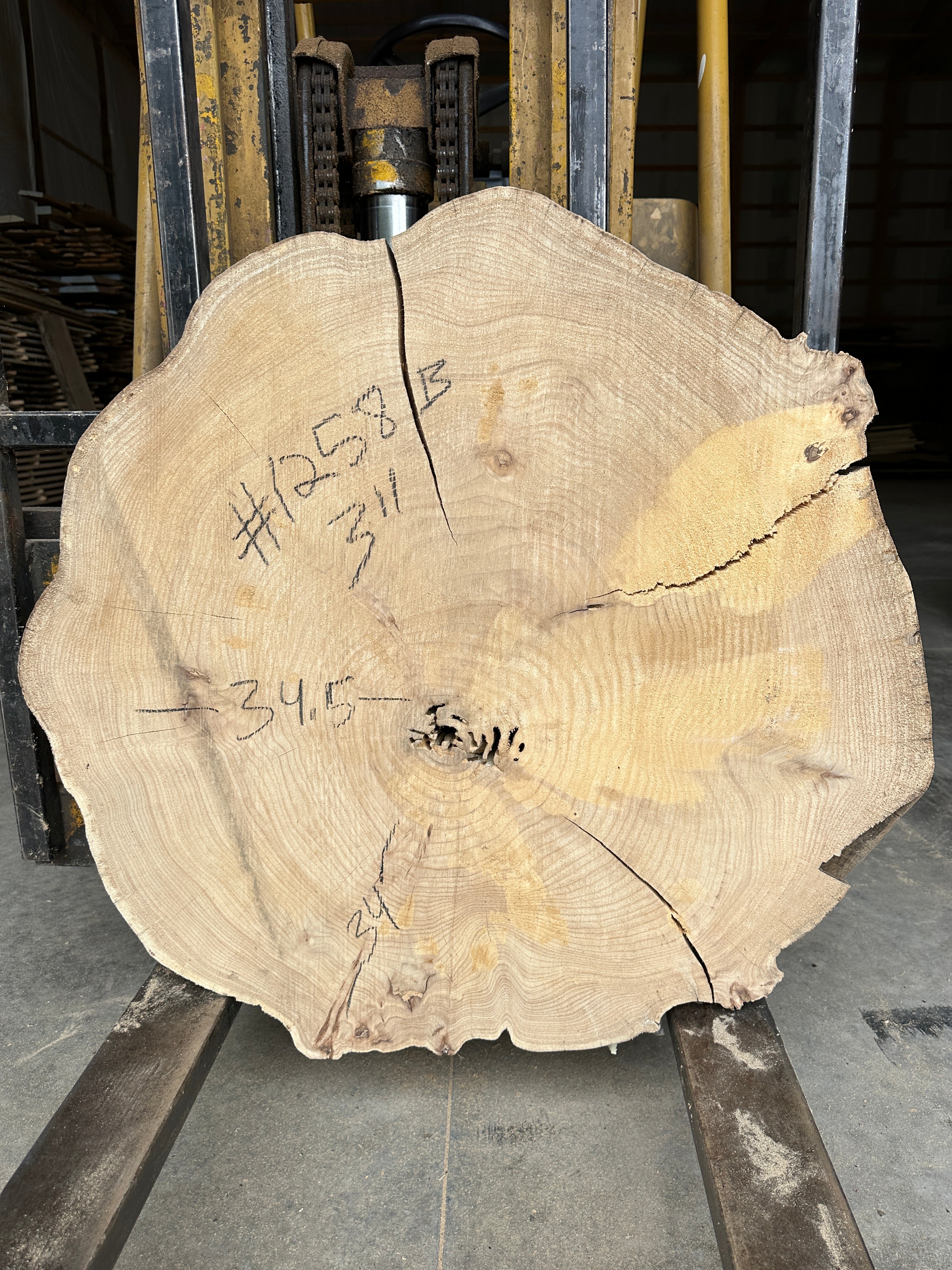 Elm Live-edge slab