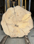 Elm Live-edge slab