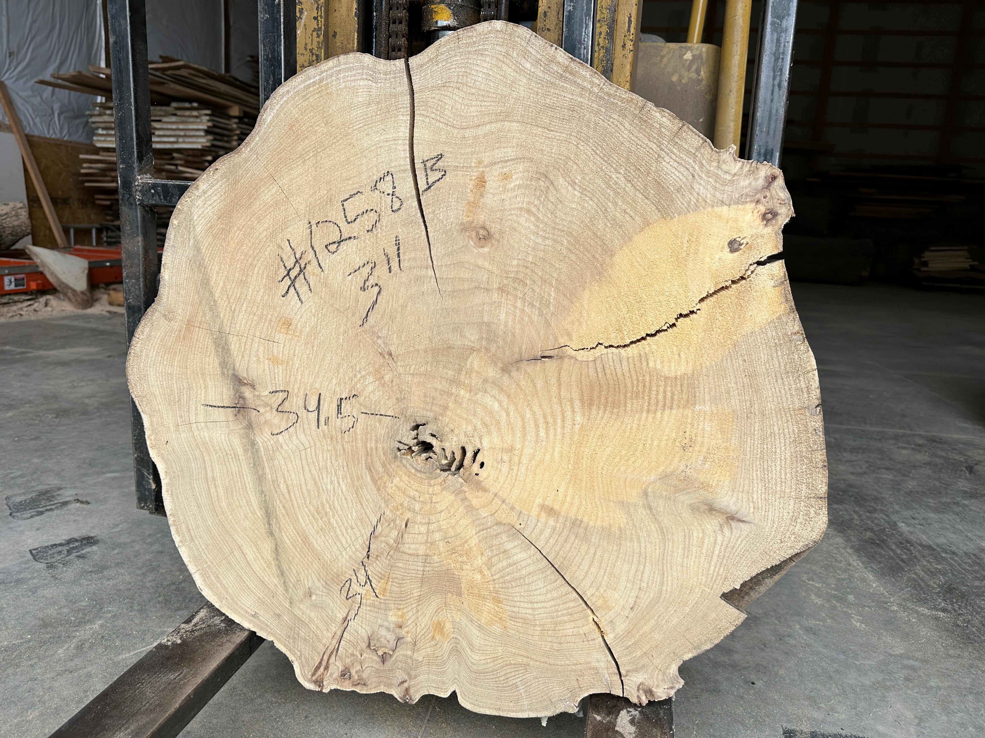 Elm Live-edge slab