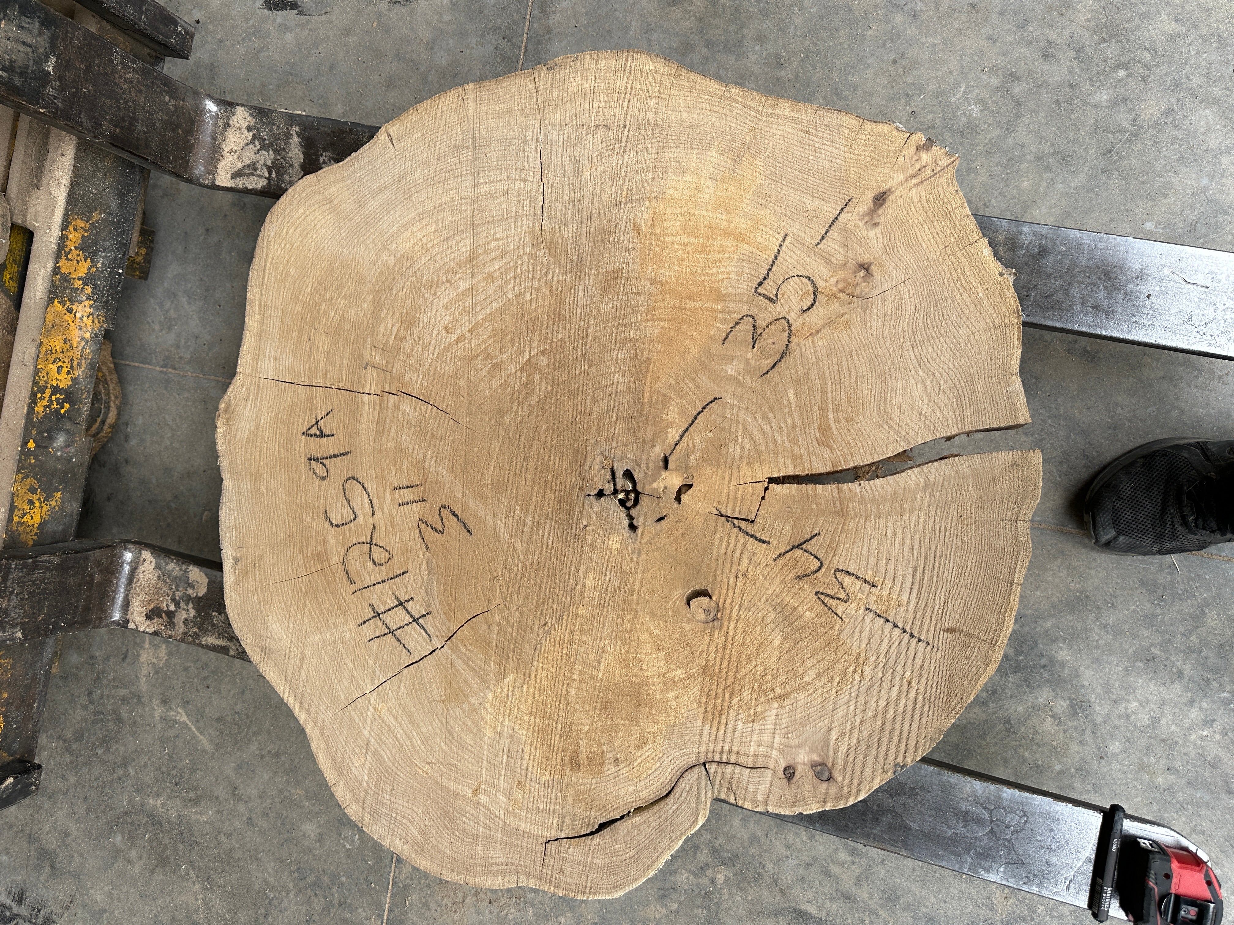 Elm Live-edge slab