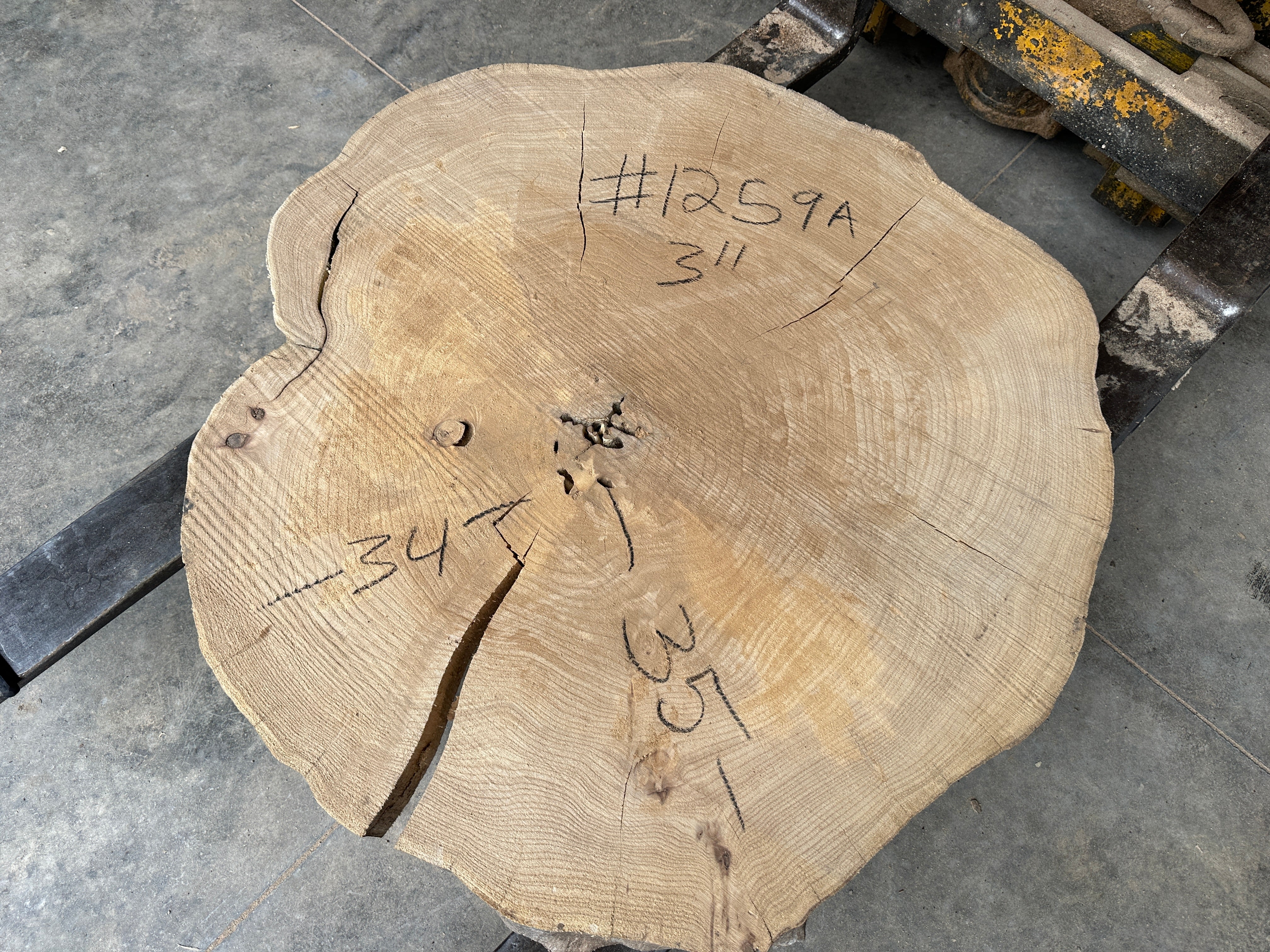 Elm Live-edge slab