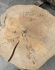 Elm Live-edge slab