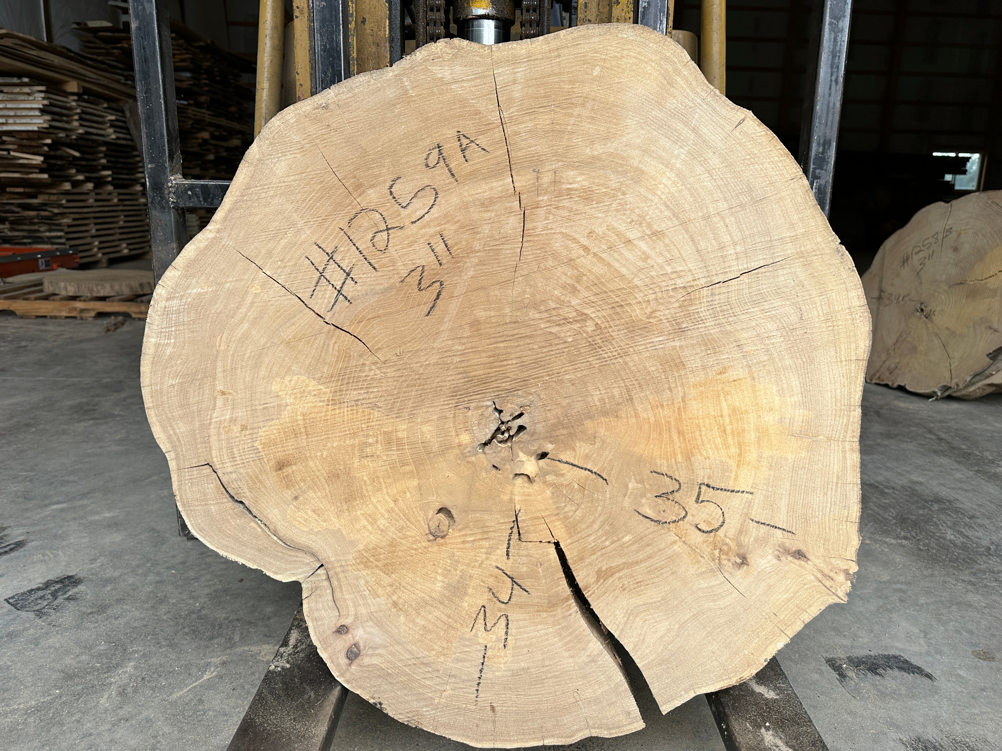 Elm Live-edge slab