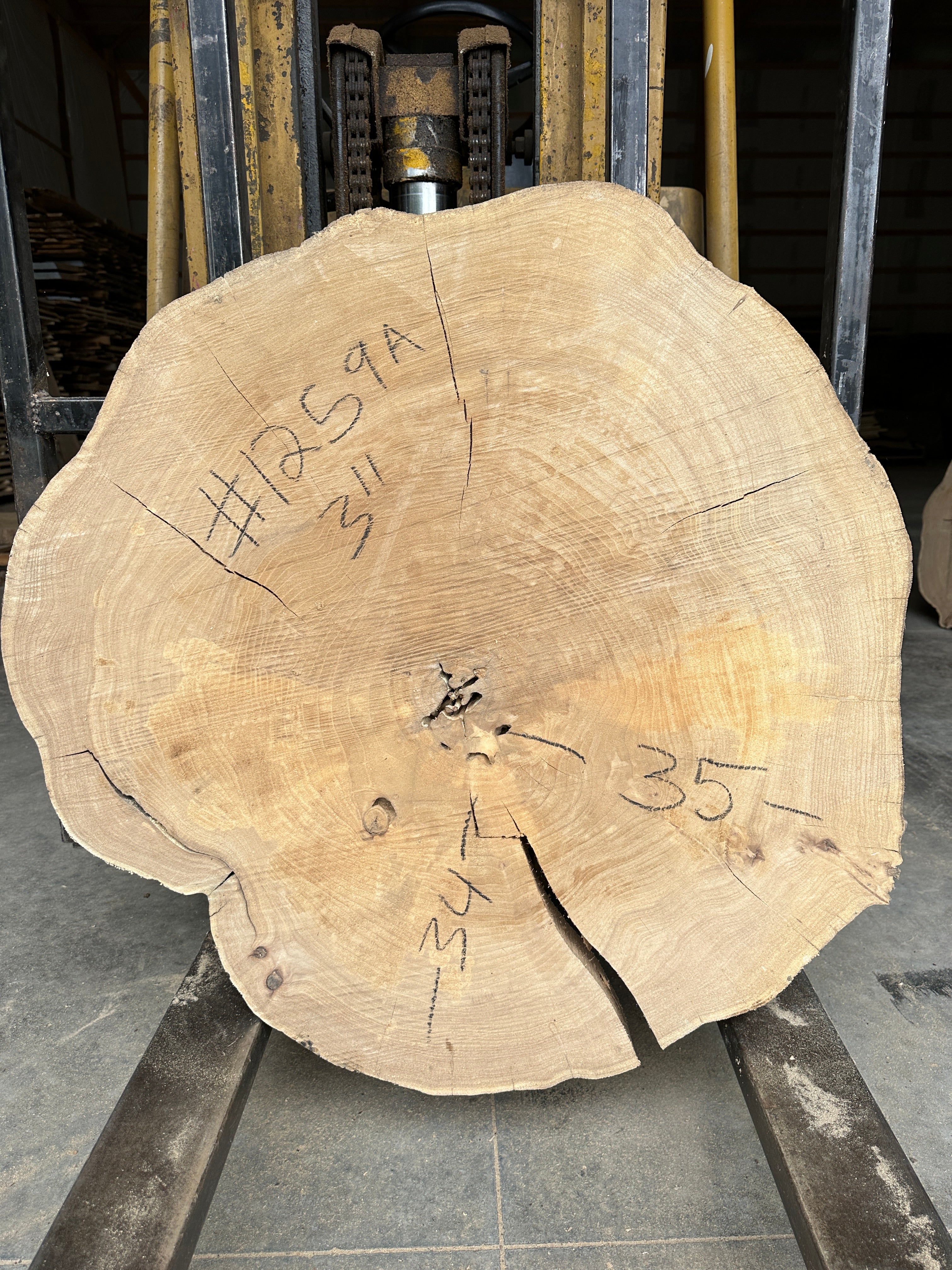 Elm Live-edge slab