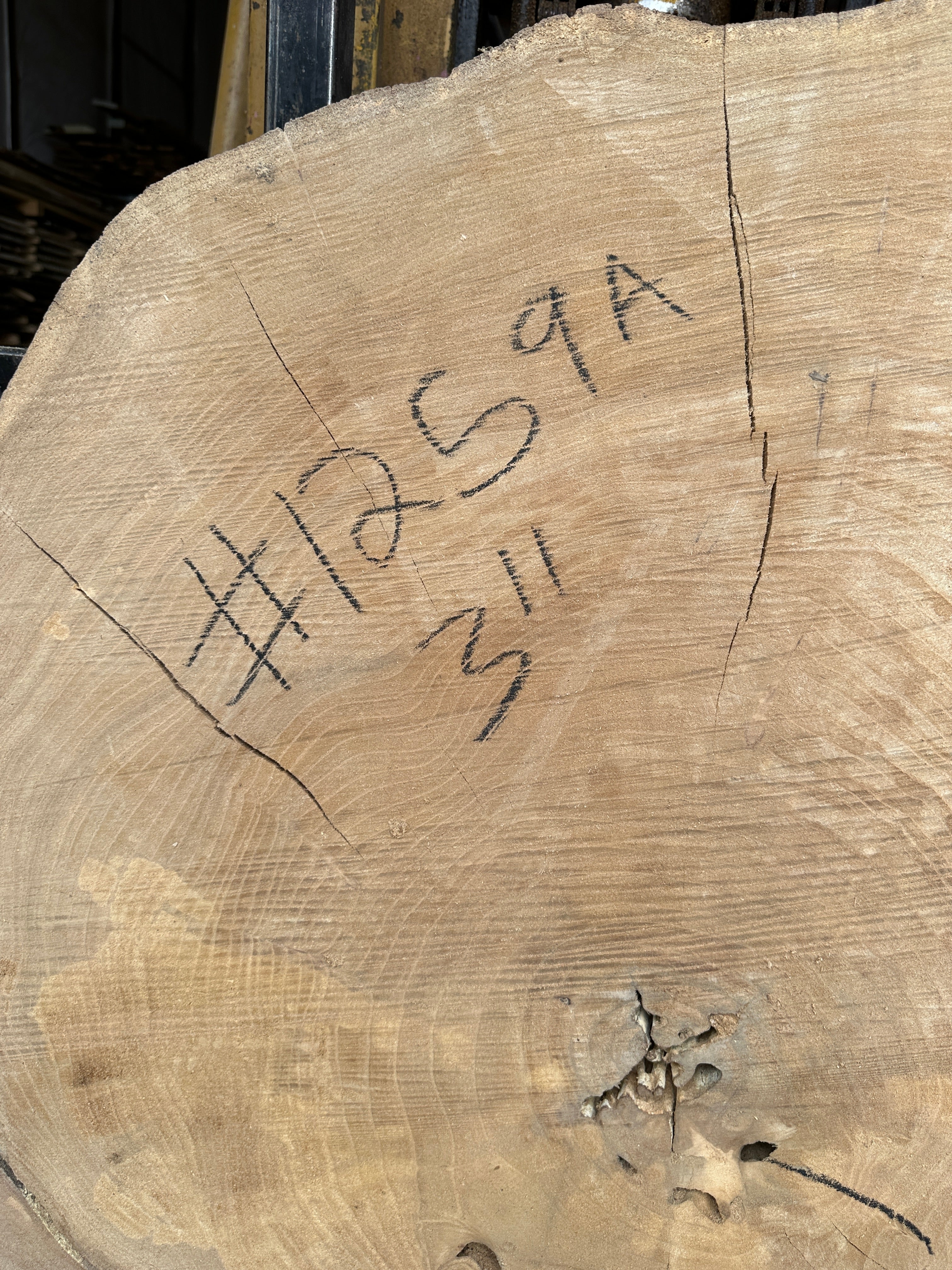 Elm Live-edge slab