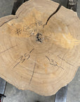 Elm Live-edge slab