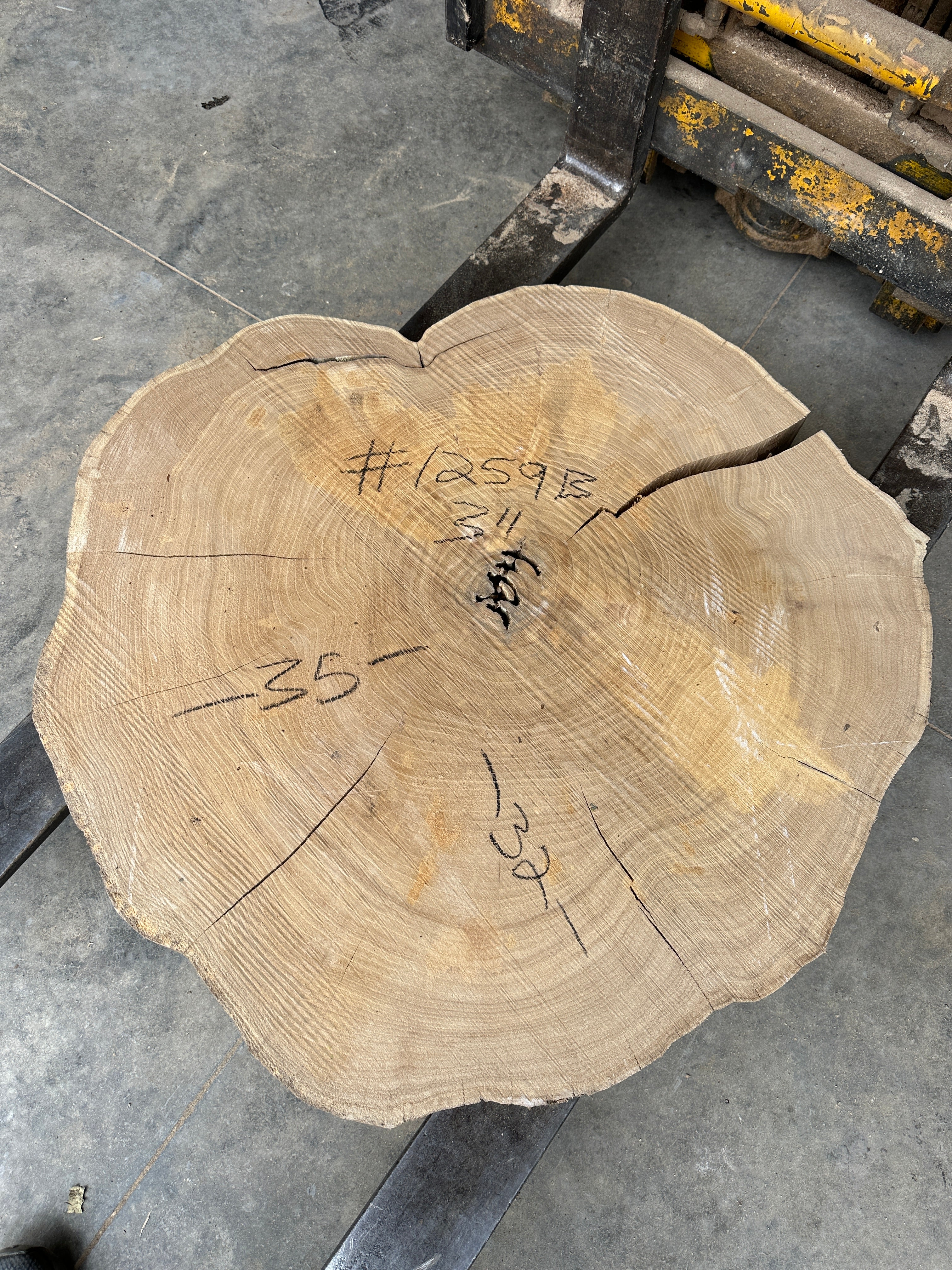Elm Live-edge slab