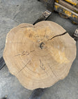 Elm Live-edge slab