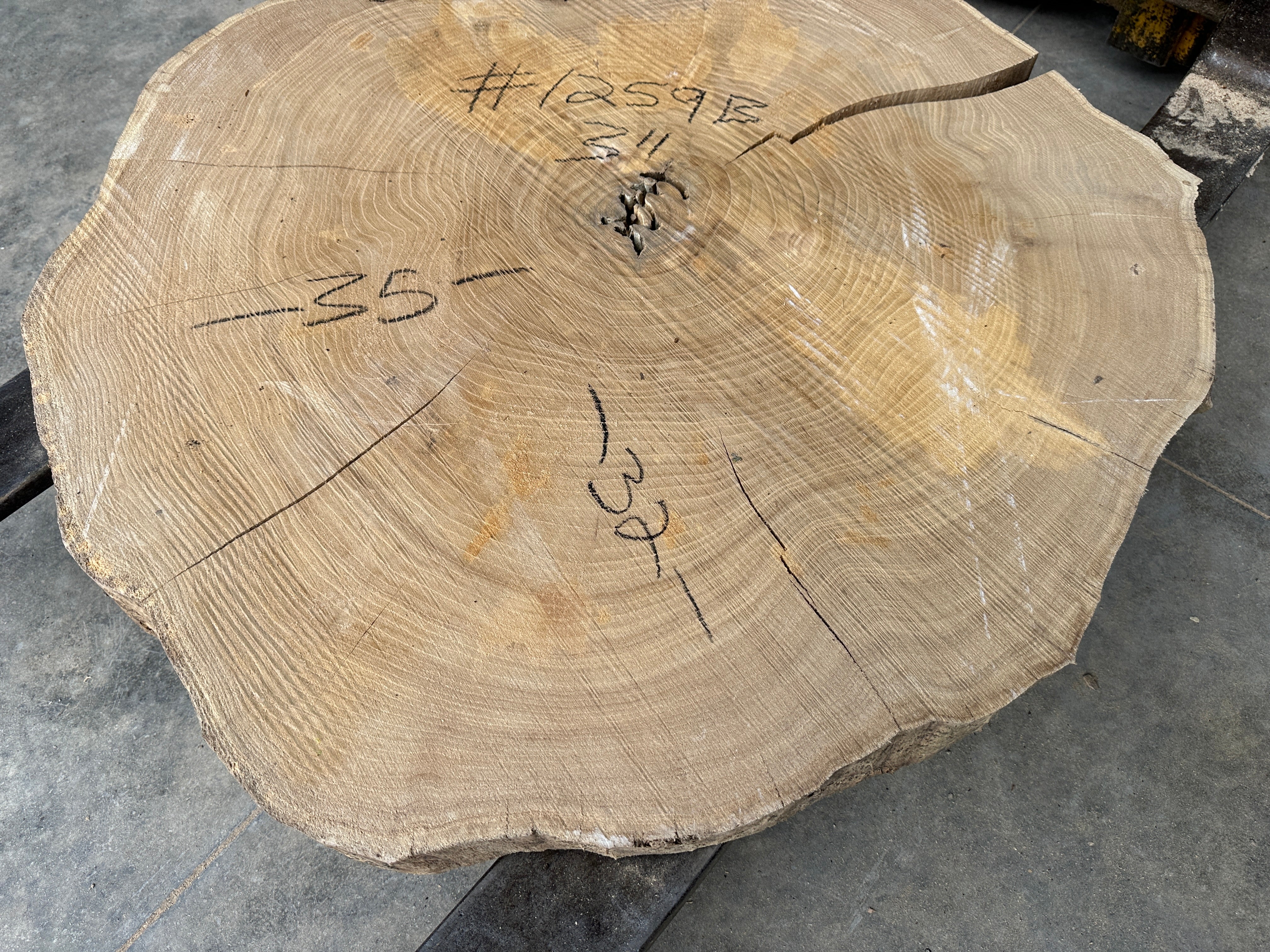 Elm Live-edge slab