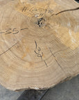 Elm Live-edge slab