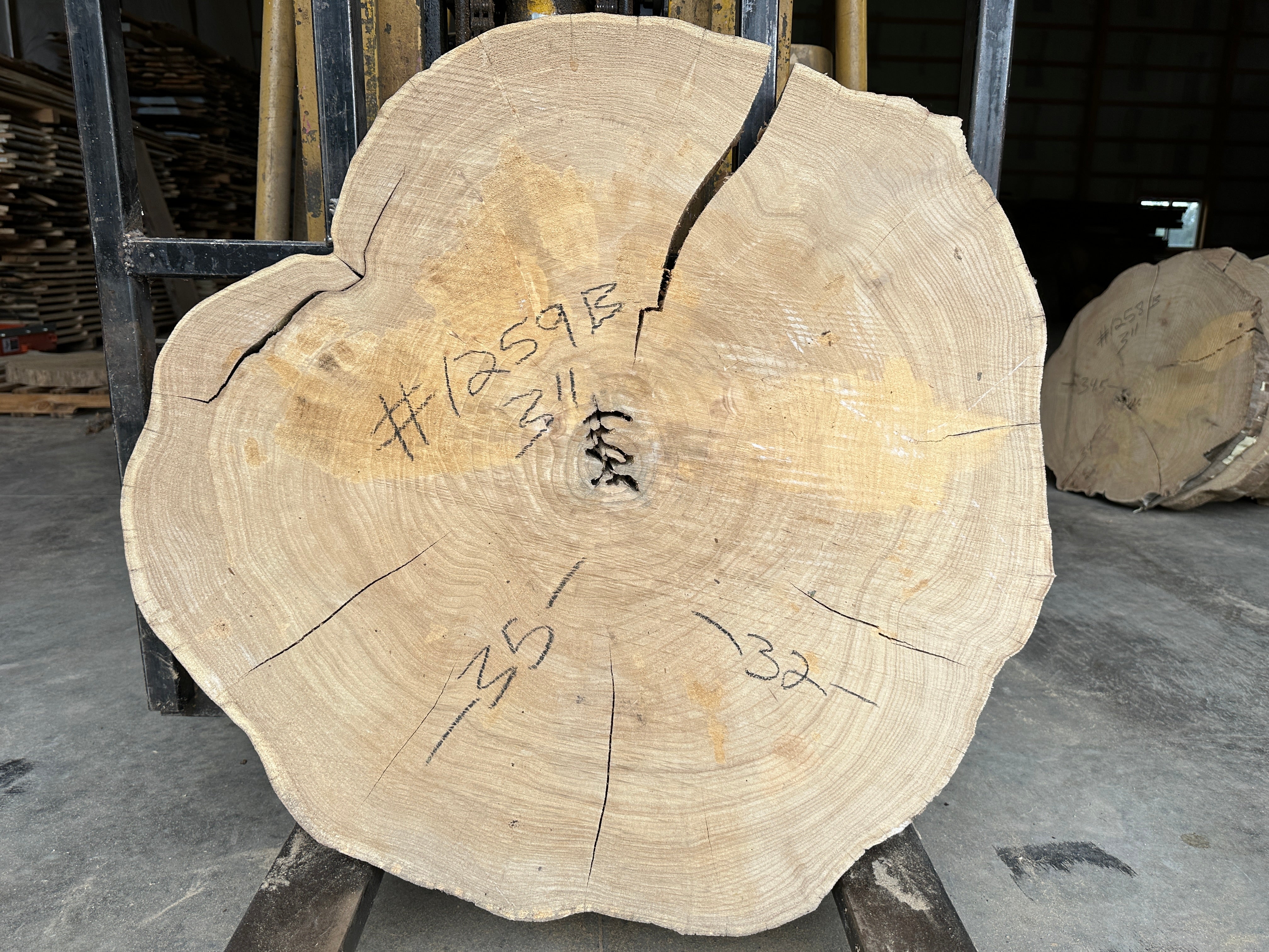 Elm Live-edge slab