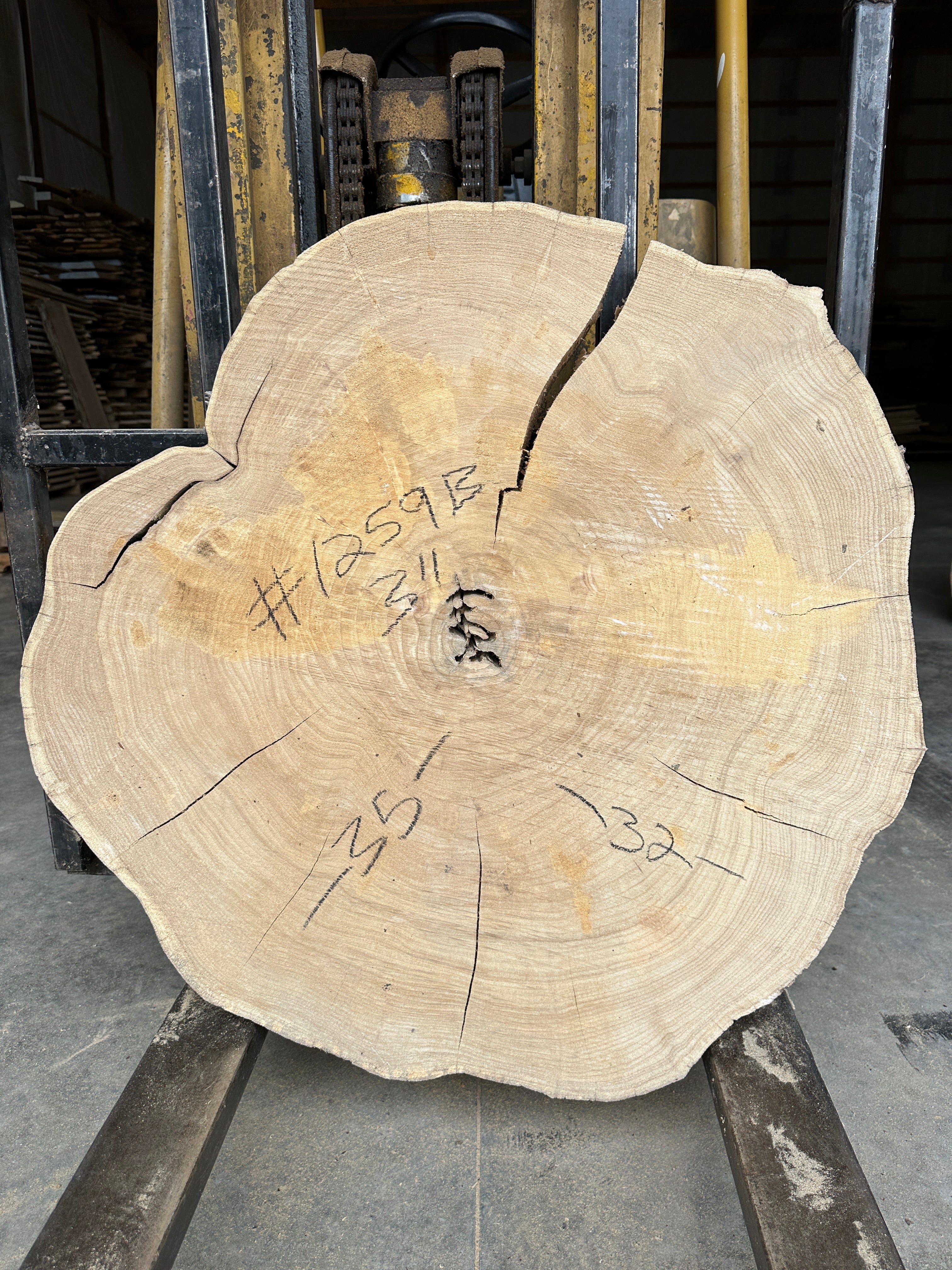 Elm Live-edge slab