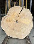 Elm Live-edge slab