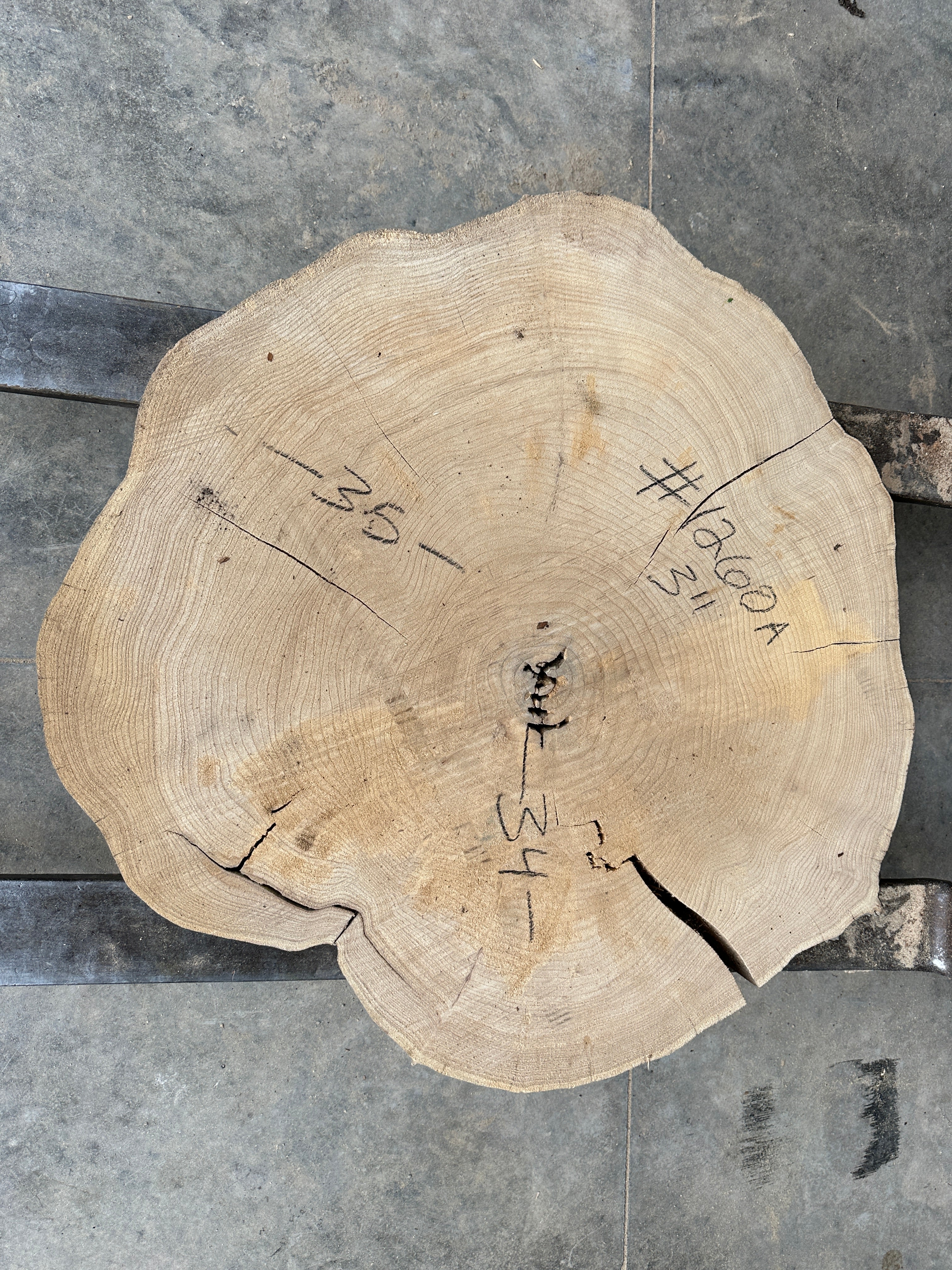 Elm Live-edge cookie slab