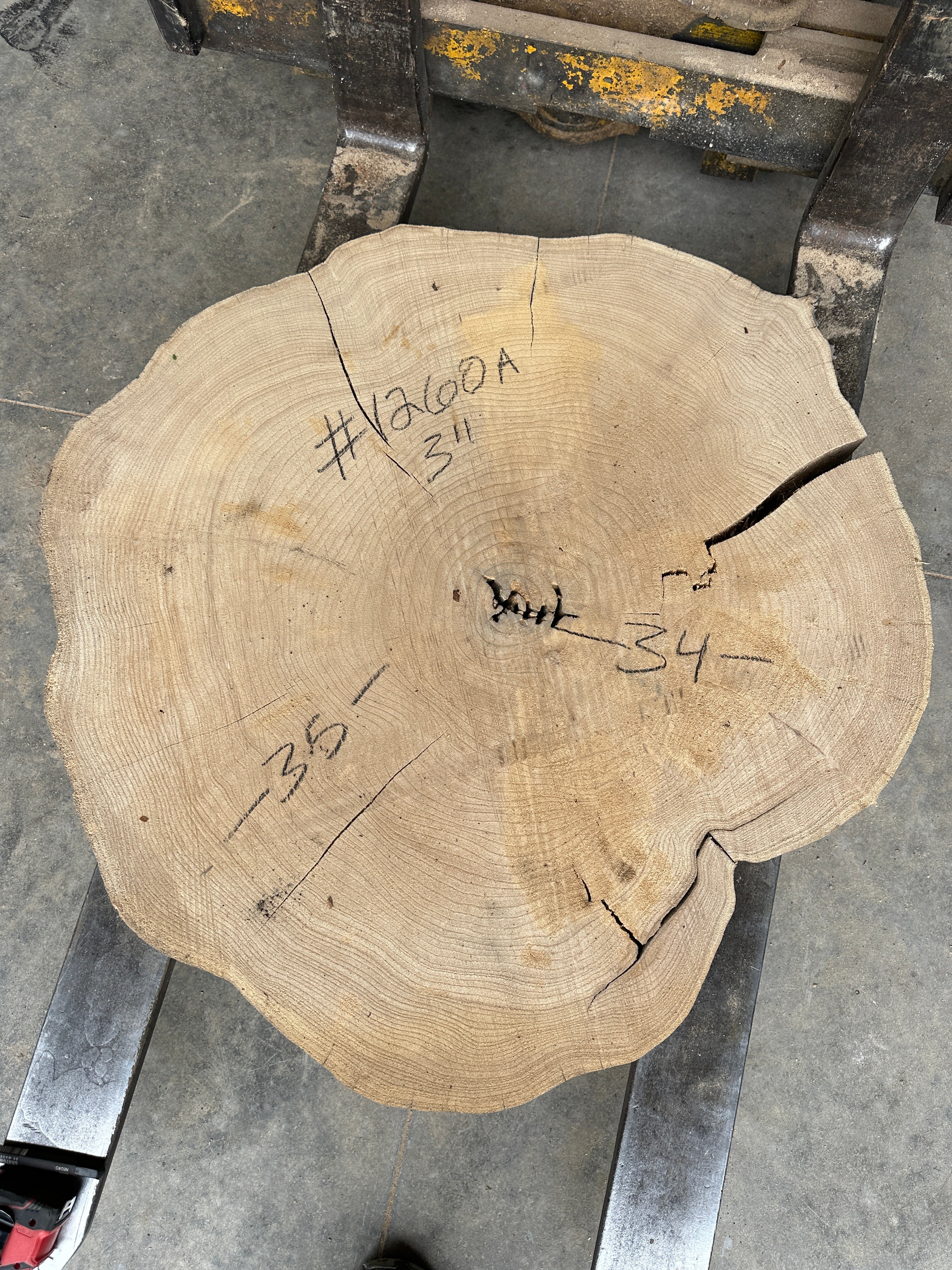 Elm Live-edge cookie slab