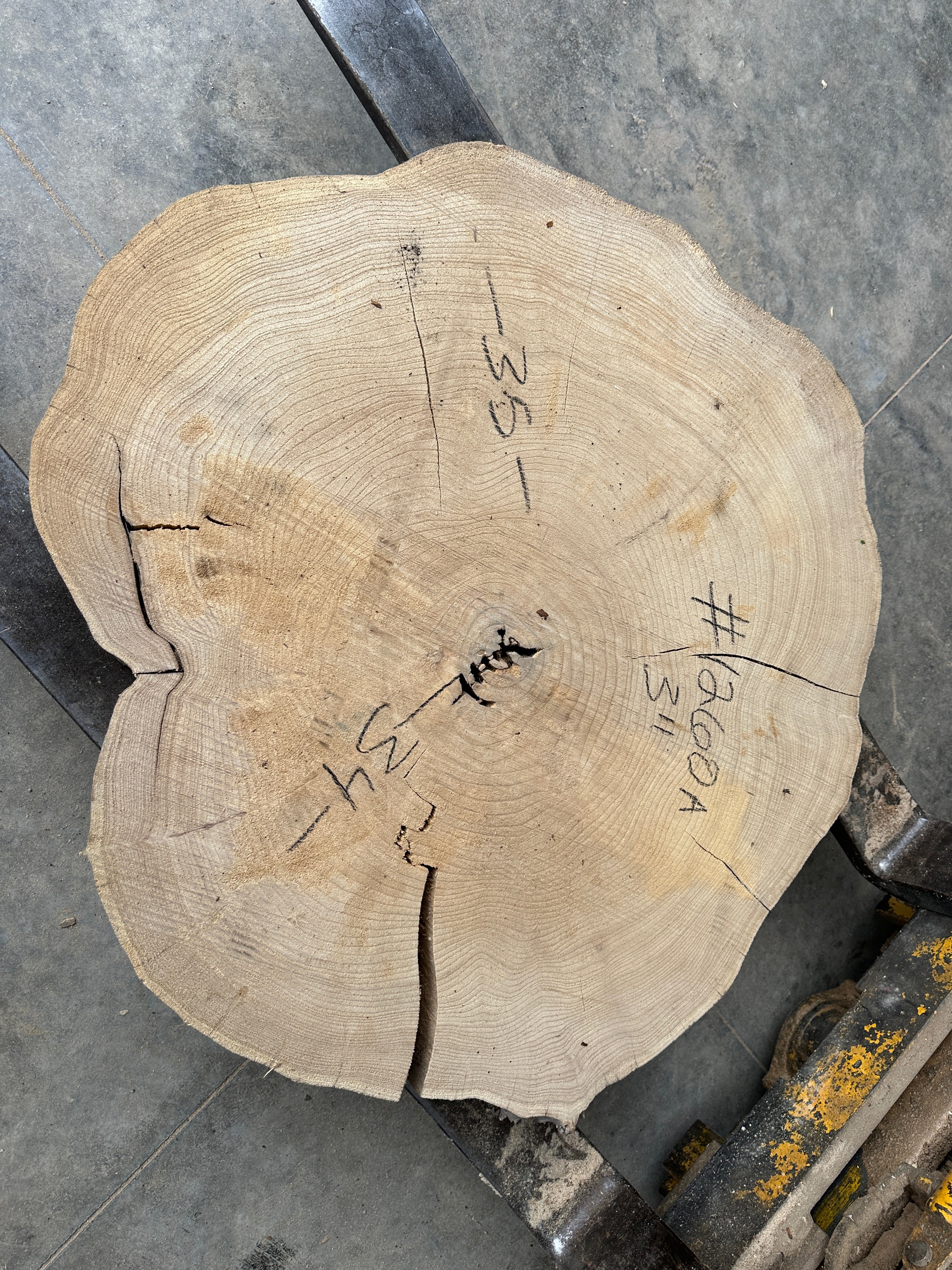 Elm Live-edge cookie slab