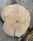 Elm Live-edge cookie slab