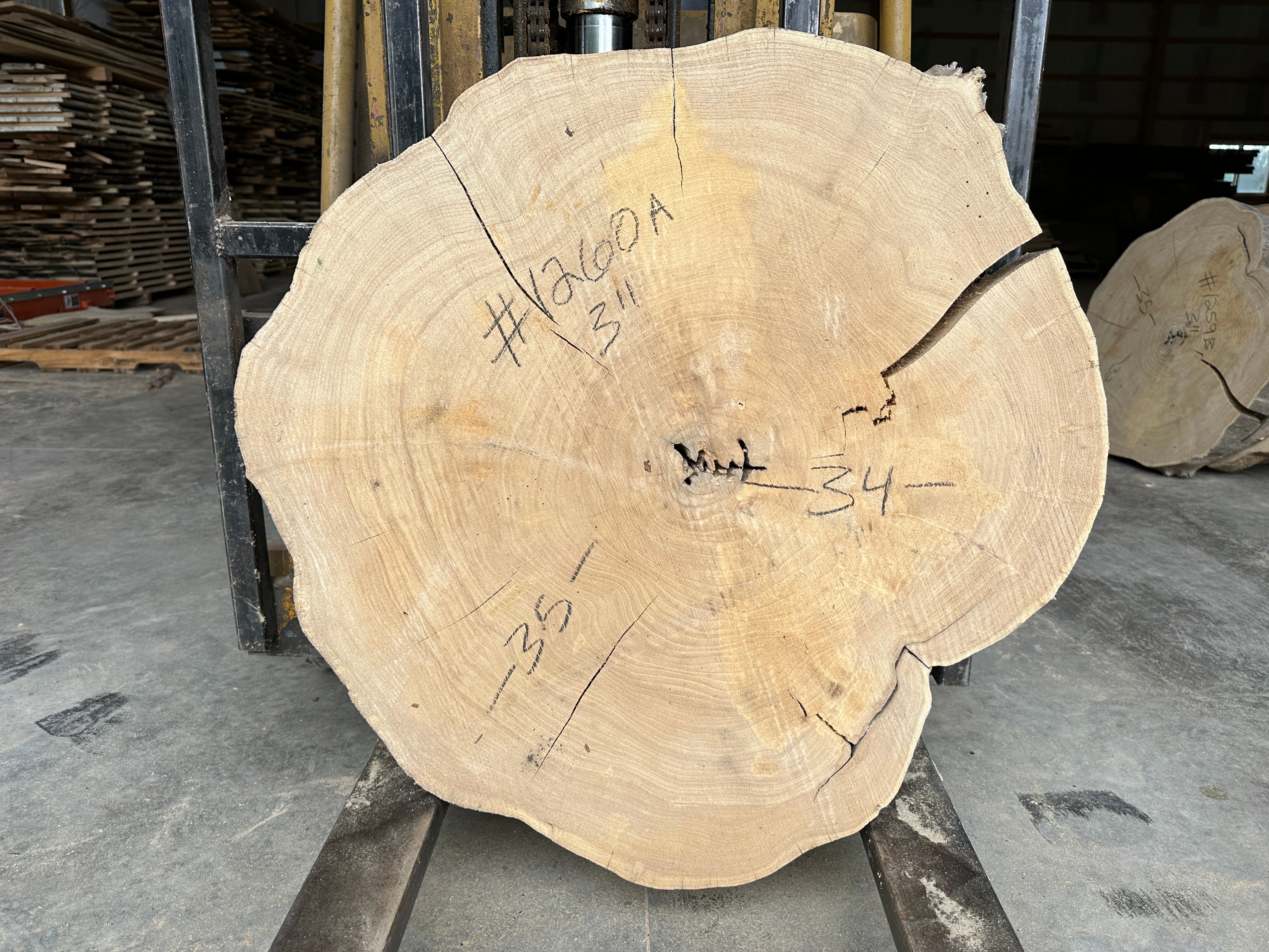 Elm Live-edge cookie slab