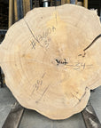 Elm Live-edge cookie slab