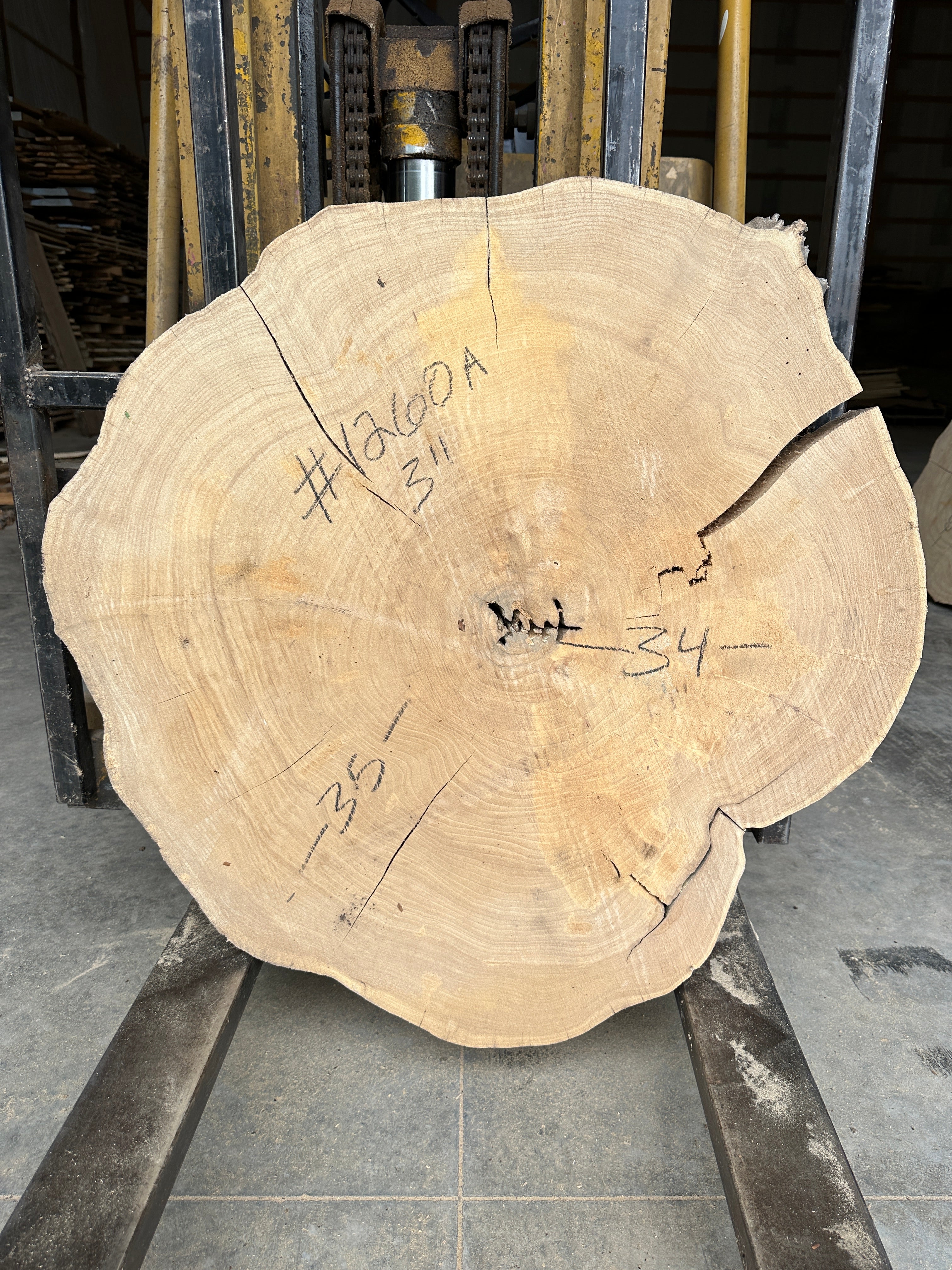 Elm Live-edge cookie slab