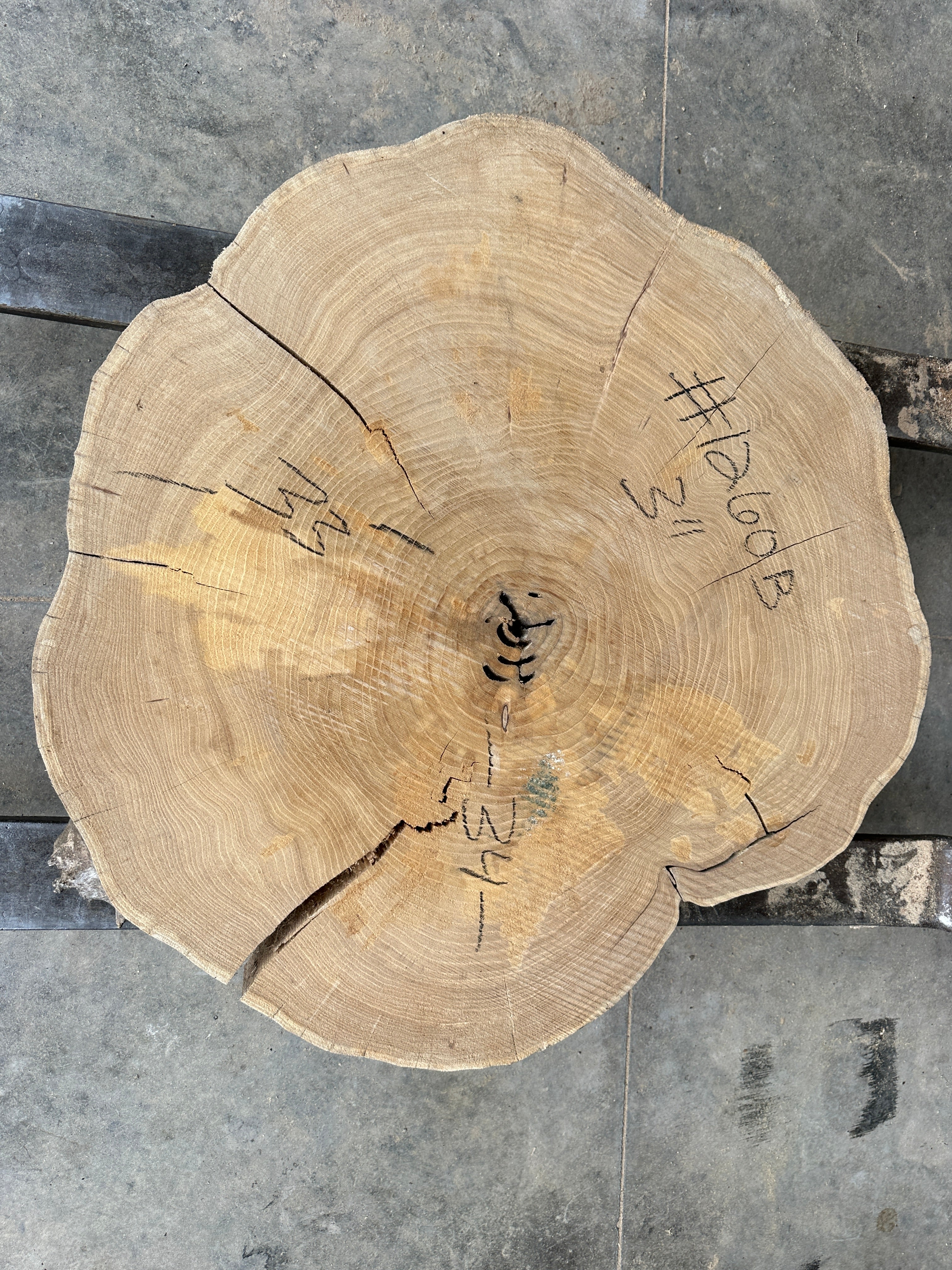 Elm Live-edge cookie slab