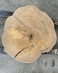 Elm Live-edge cookie slab