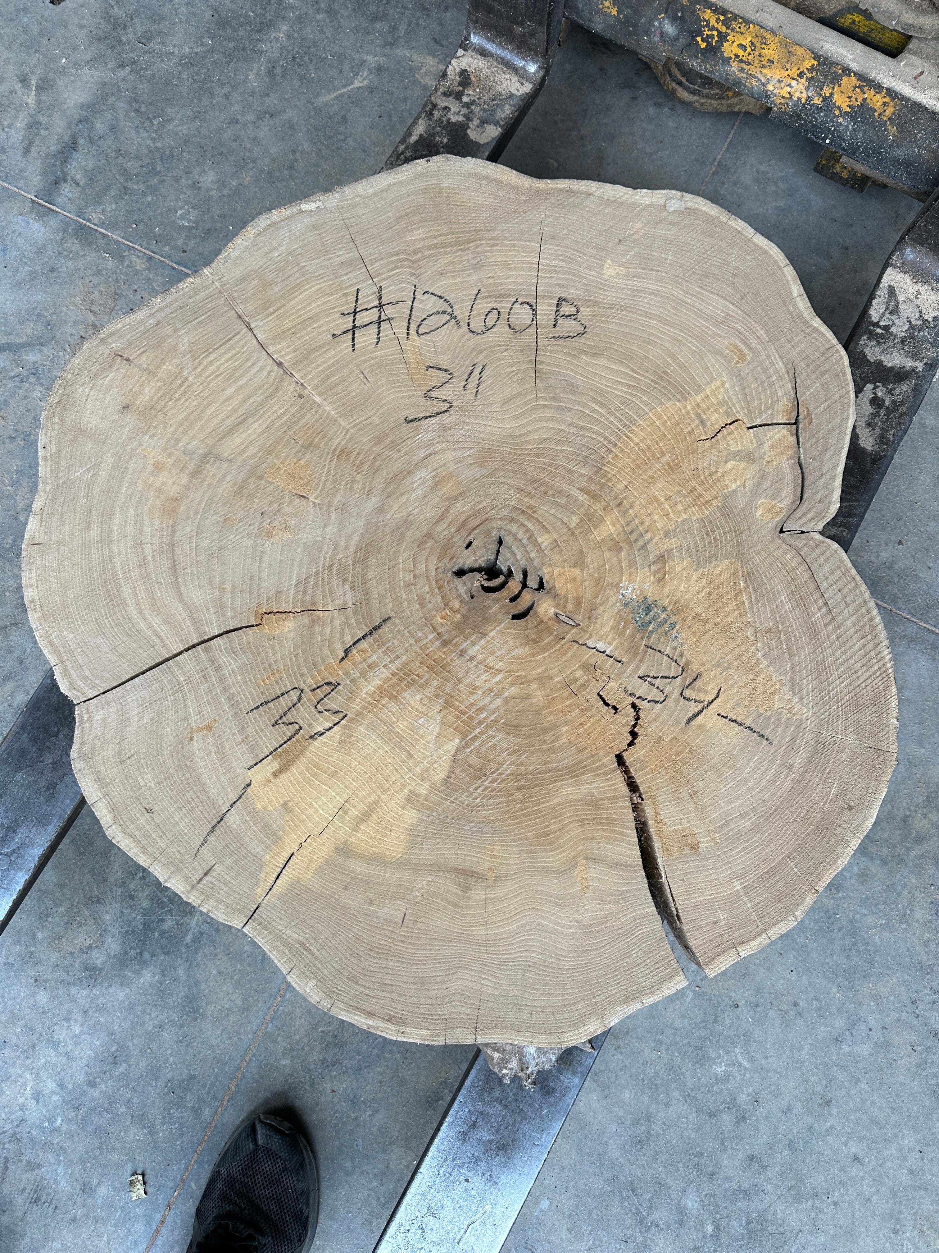 Elm Live-edge cookie slab