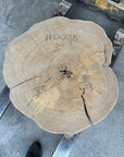 Elm Live-edge cookie slab