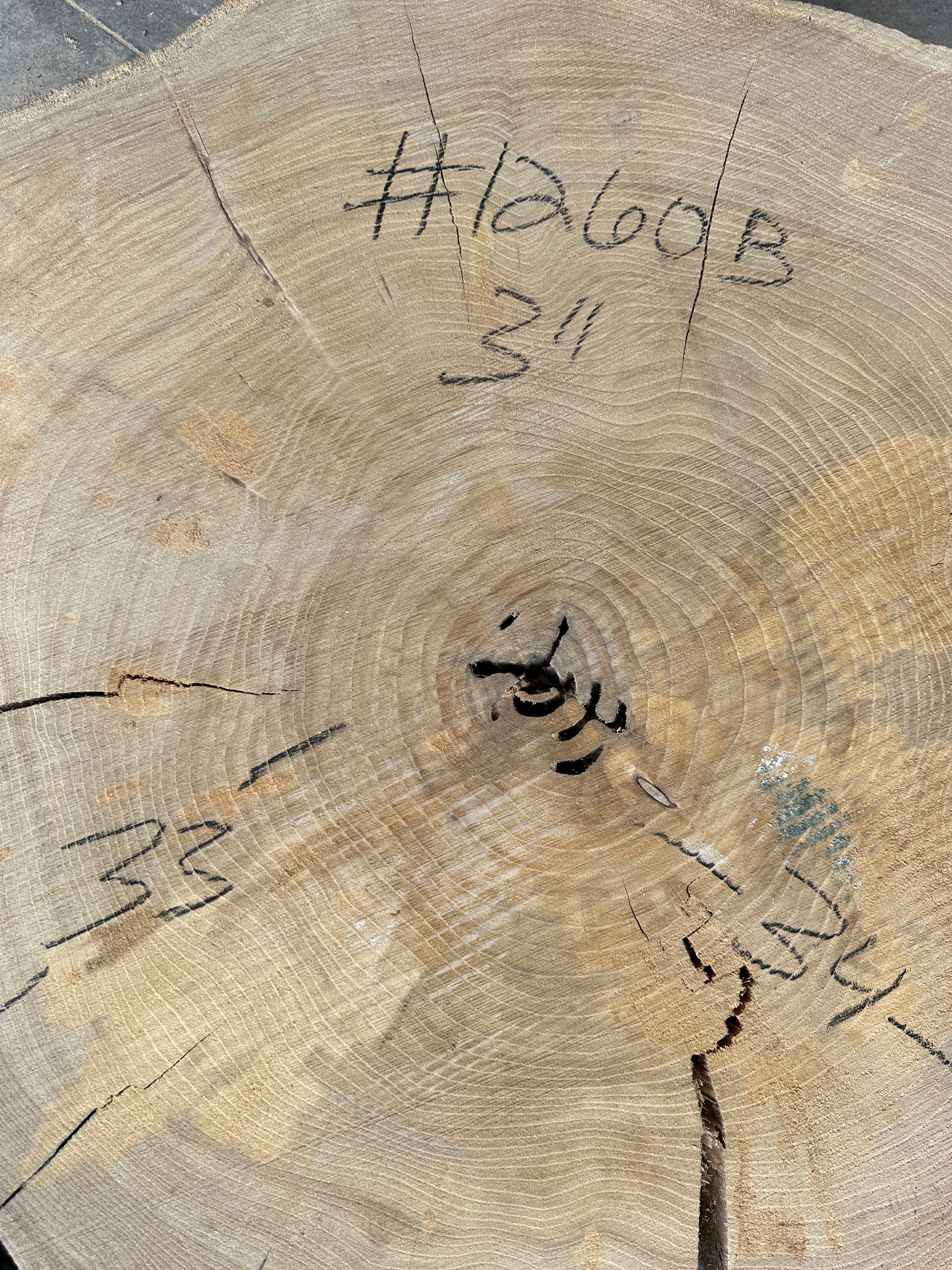 Elm Live-edge cookie slab