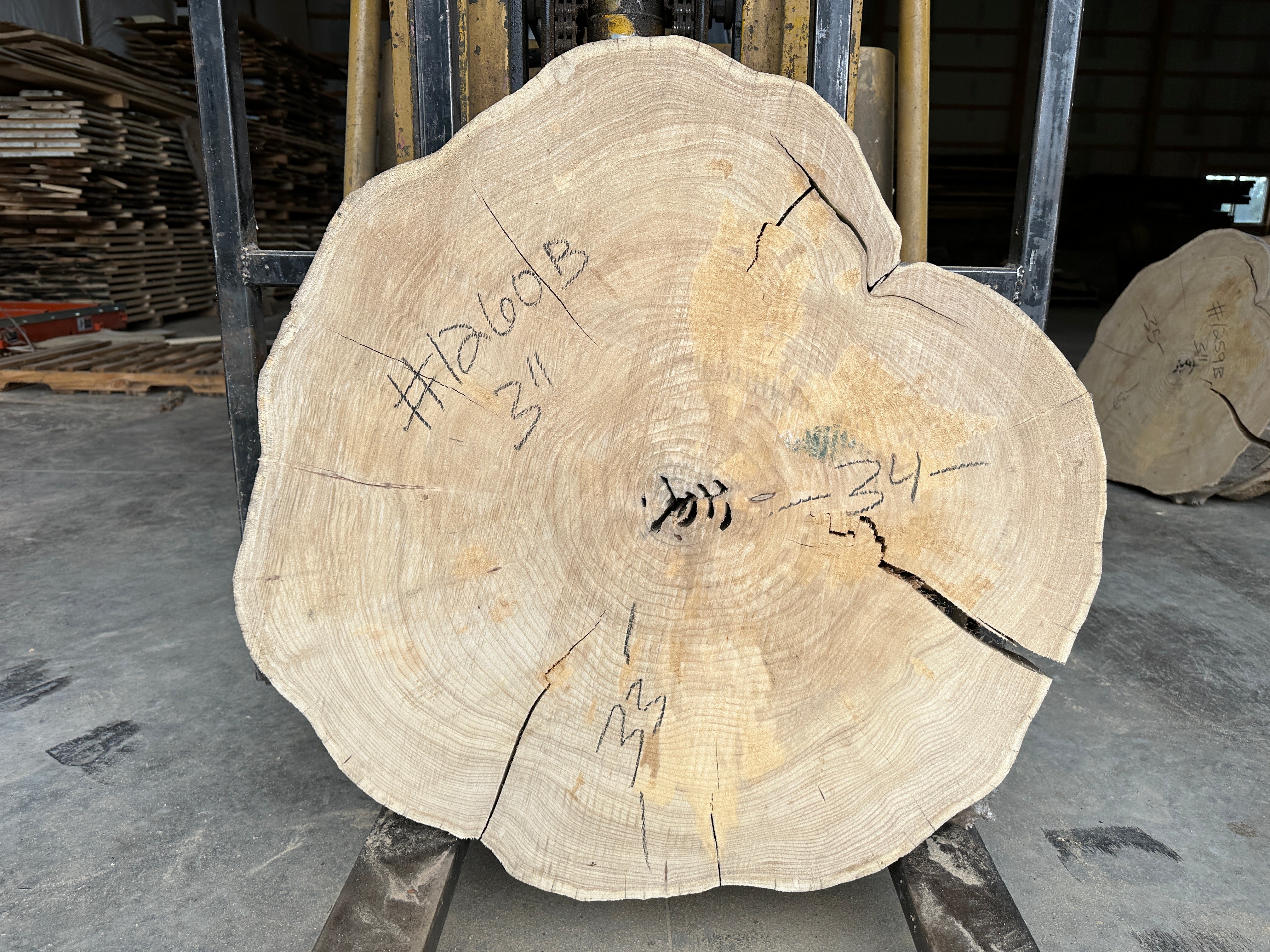 Elm Live-edge cookie slab