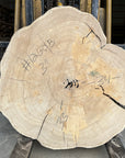Elm Live-edge cookie slab