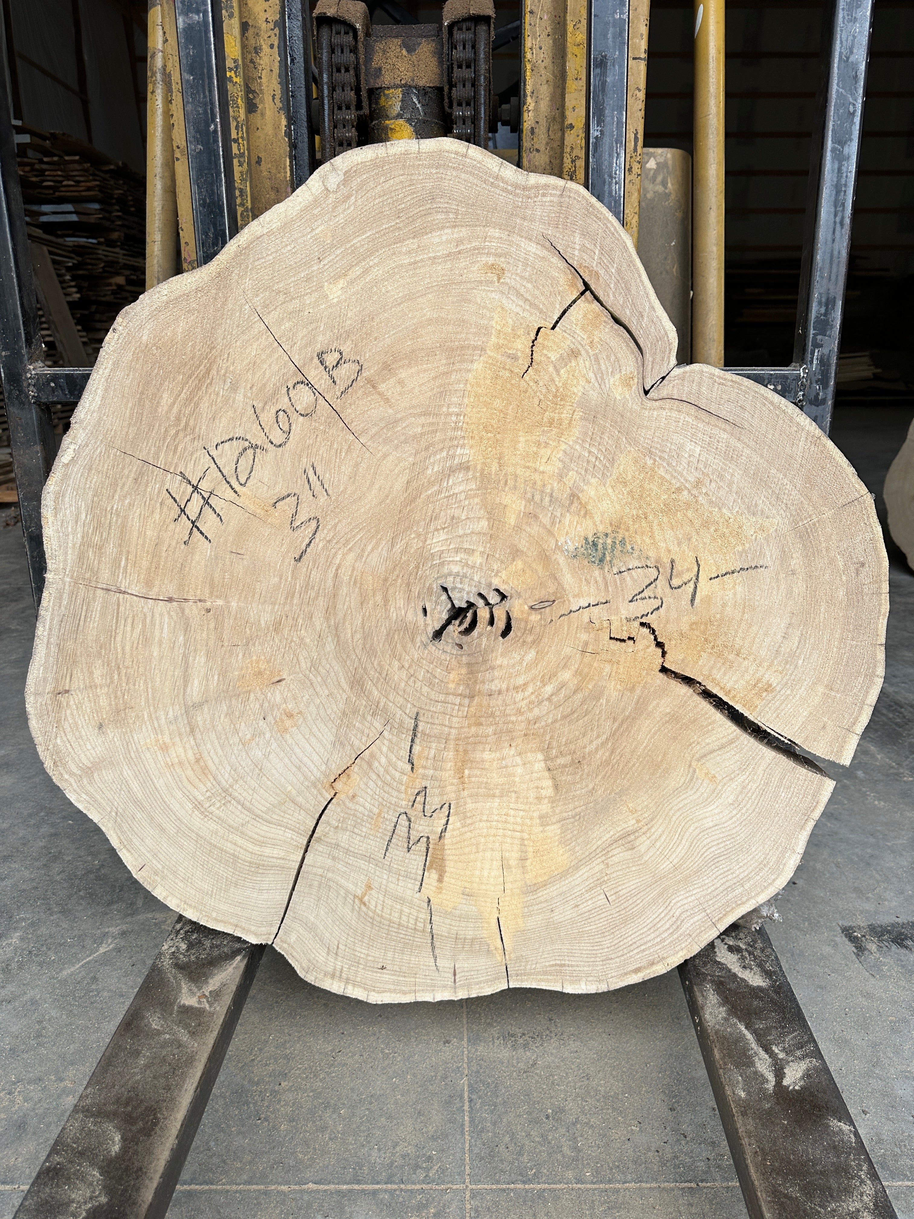 Elm Live-edge cookie slab
