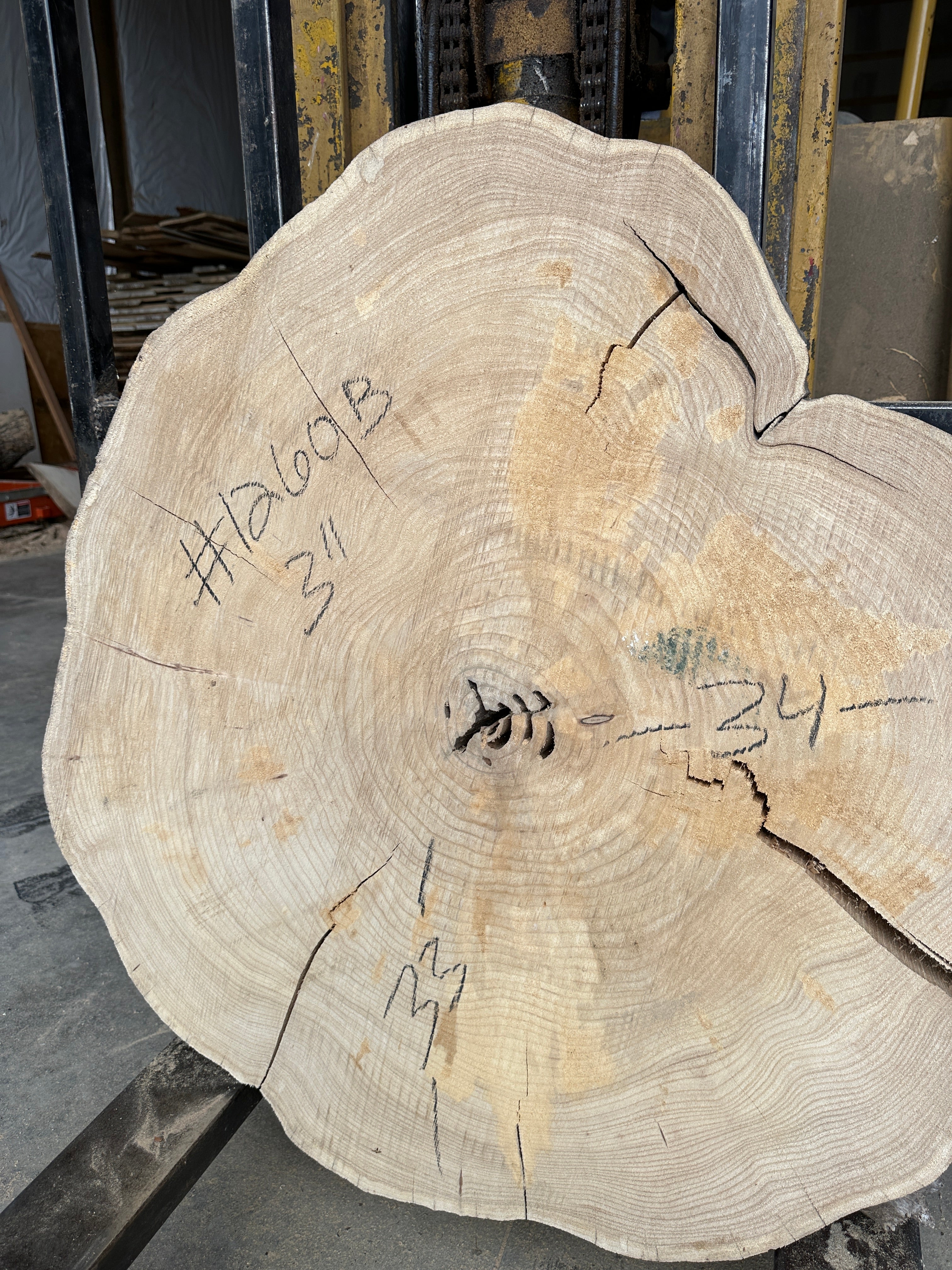 Elm Live-edge cookie slab
