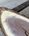 Black Walnut Live-edge slab